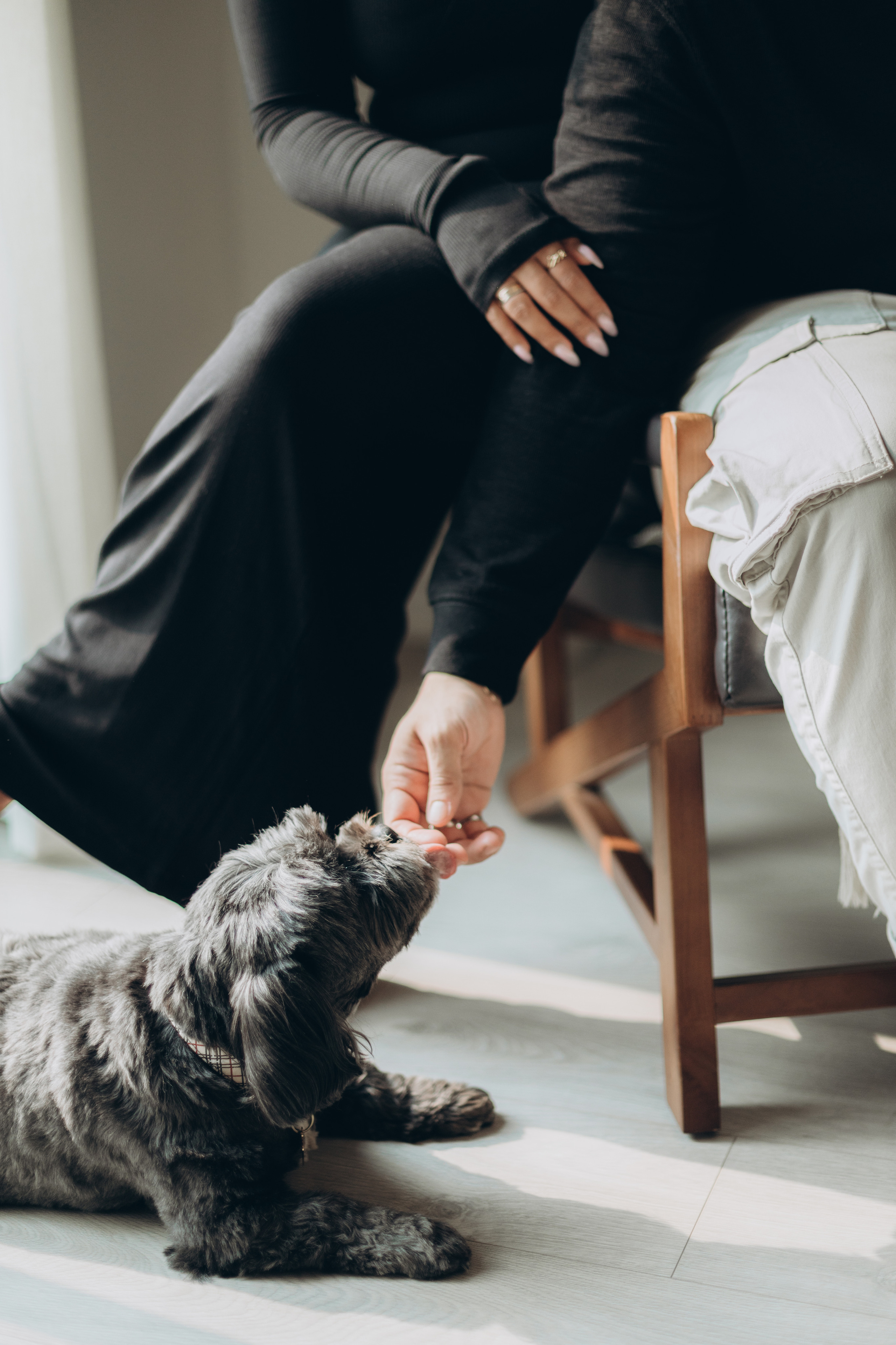 Sanjam&Sahil. Wedding Photographer Toronto