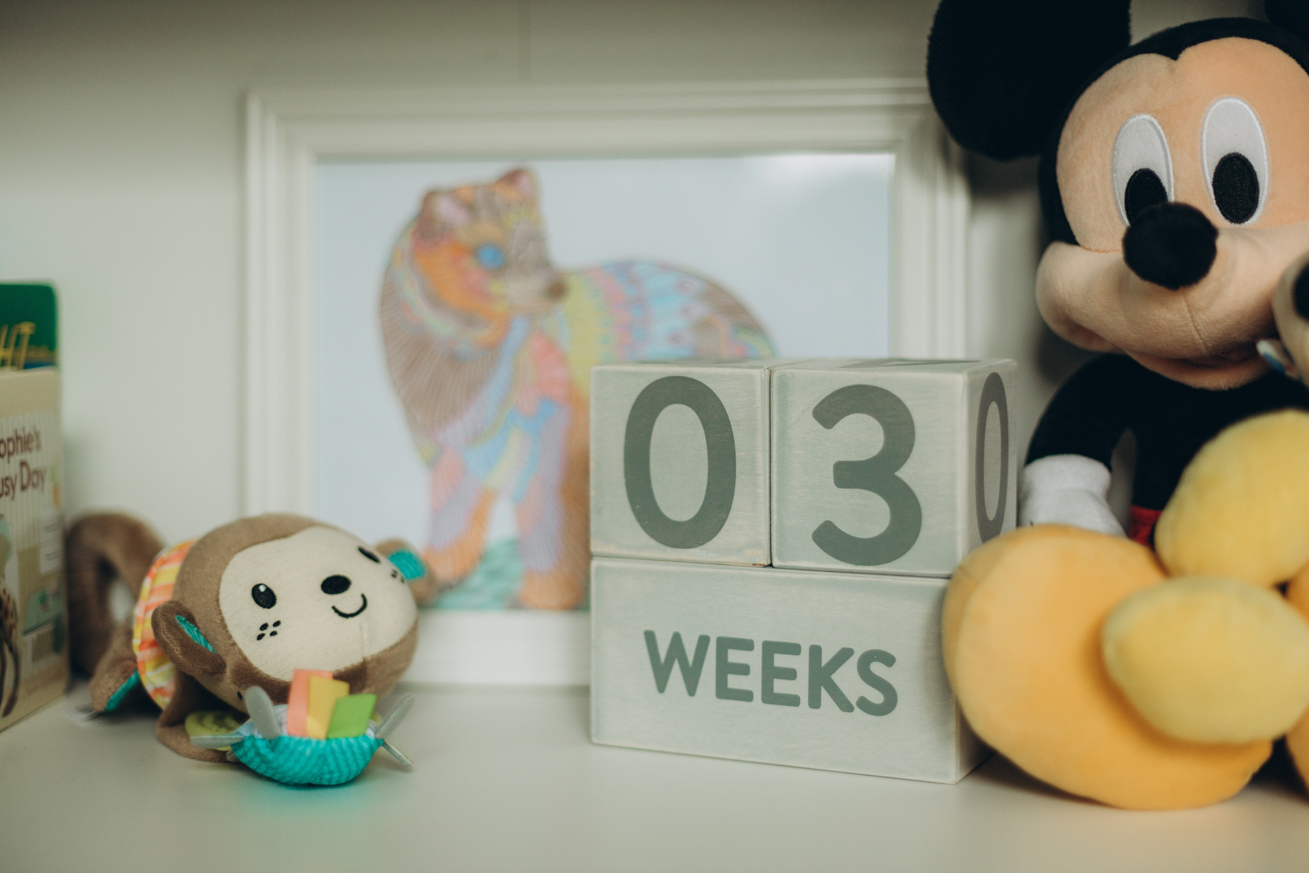 Baby Conrad. Wedding Photographer Toronto