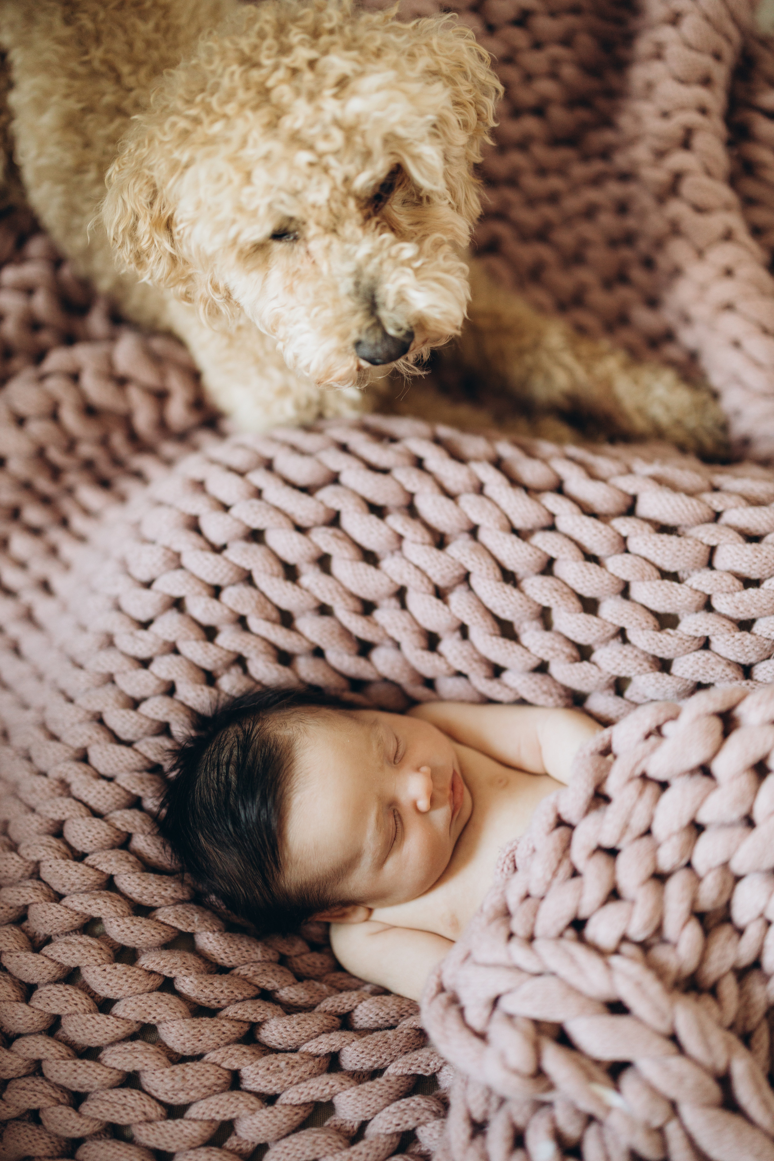 Avery. Wedding Photographer Toronto