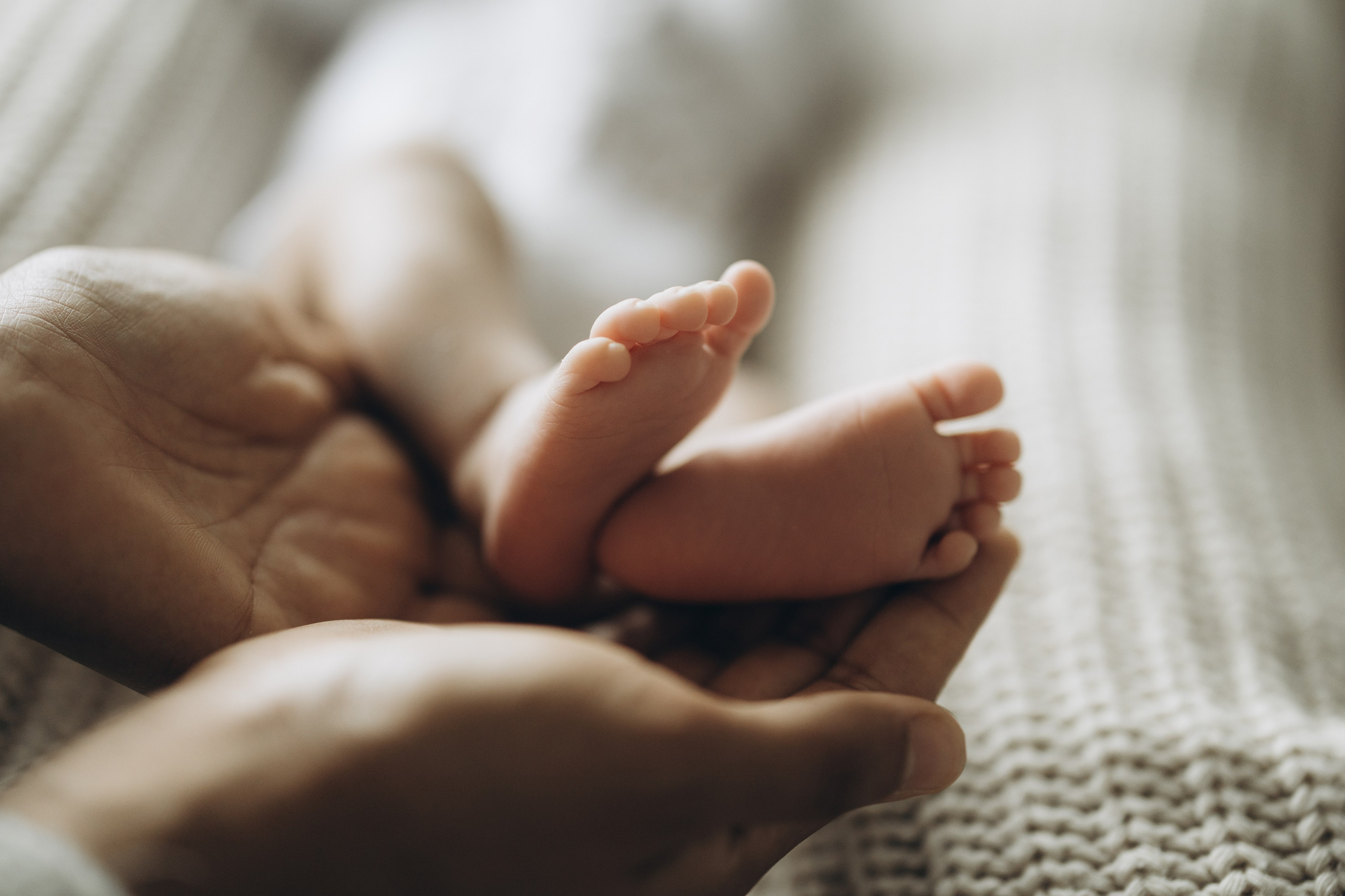14 days old. Wedding Photographer Toronto