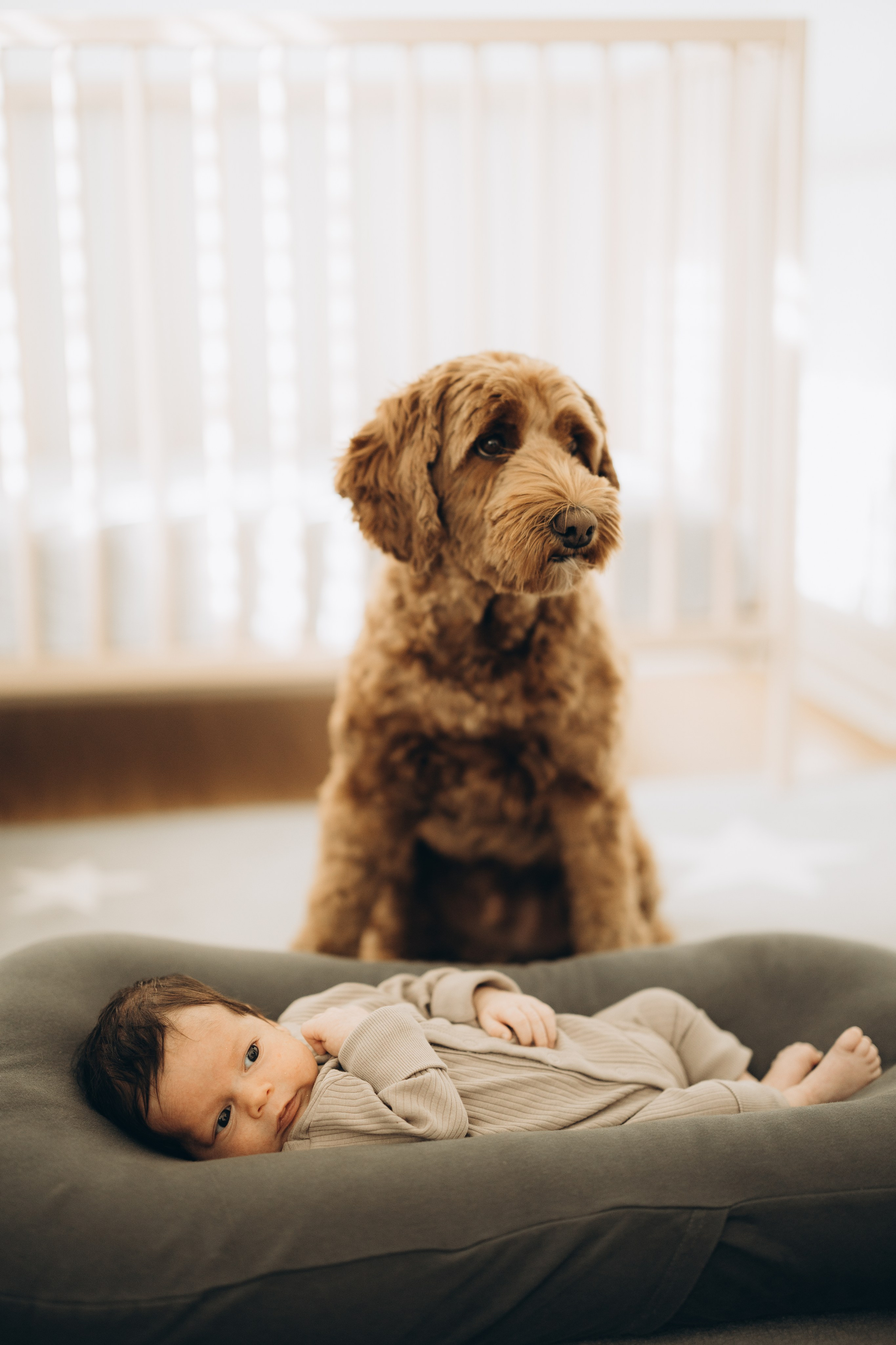 Family session. Wedding Photographer Toronto