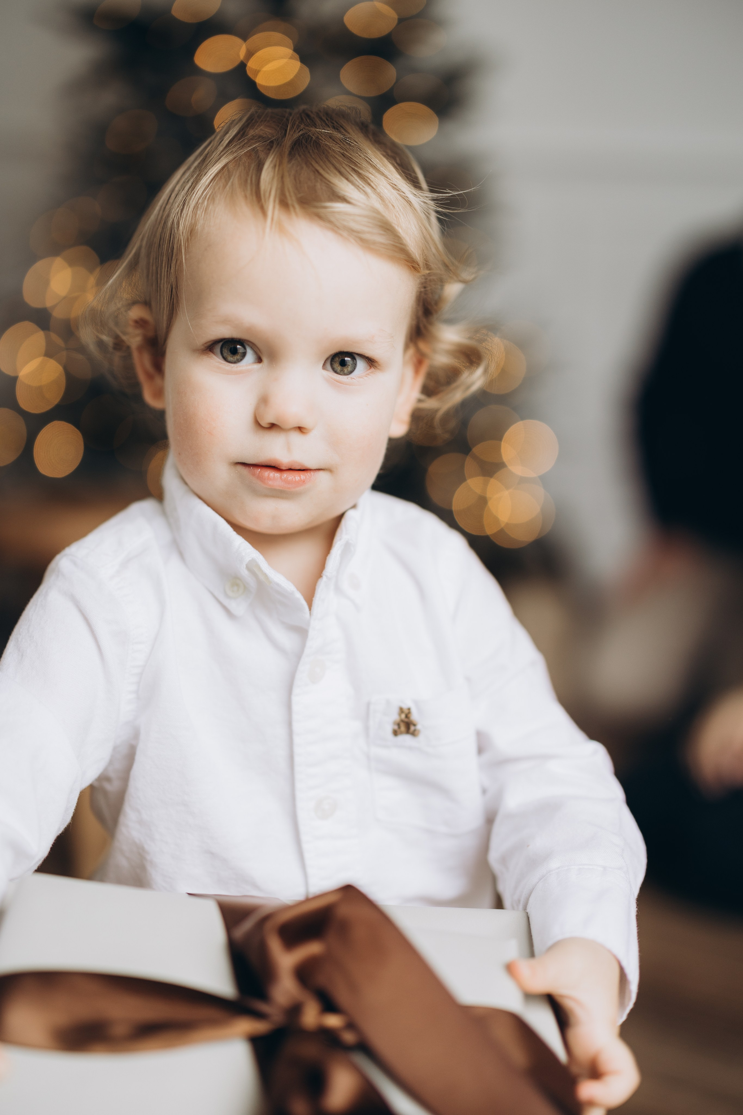 Michala&Bryan. Wedding Photographer Toronto