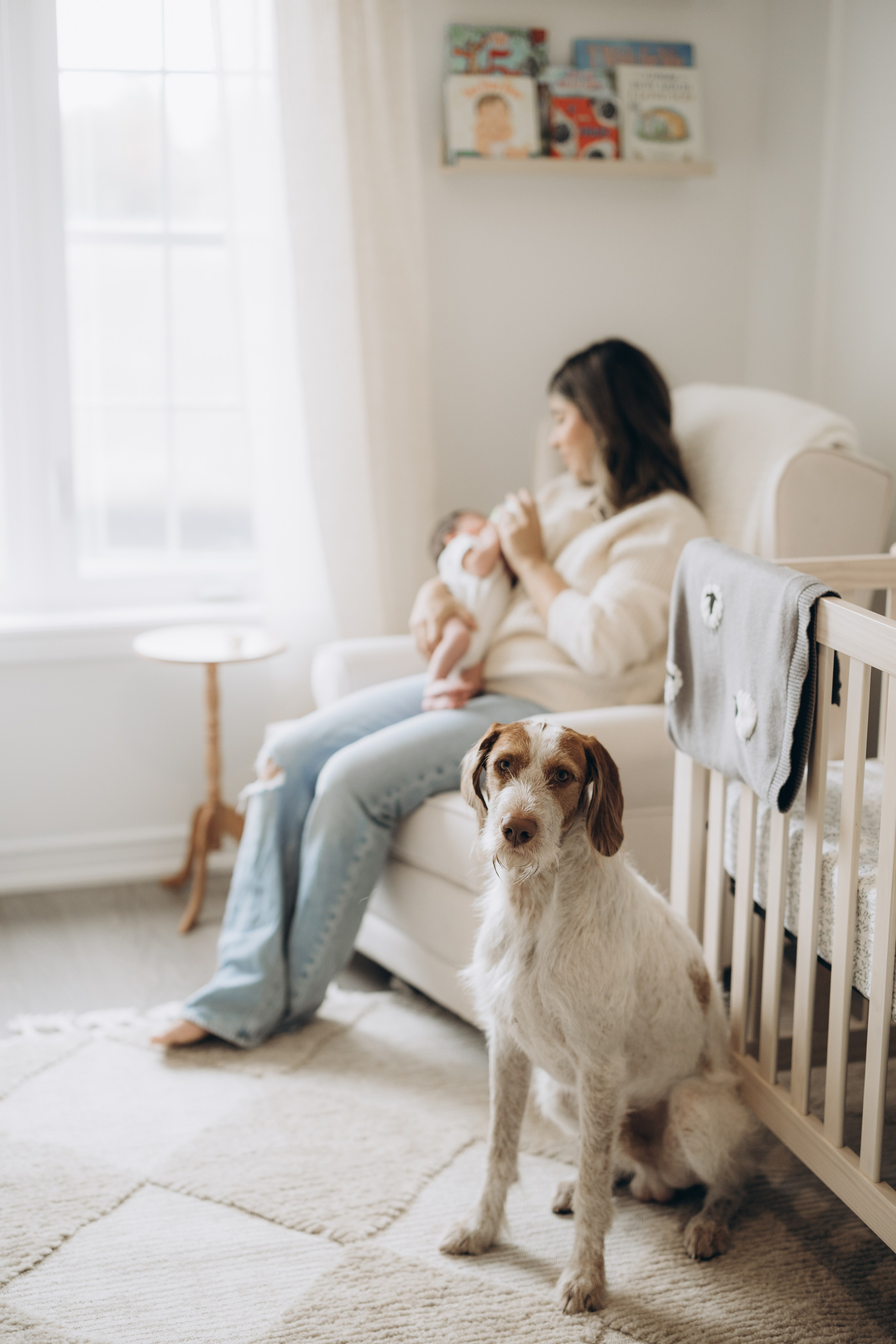 Baby Luca. Wedding Photographer Toronto