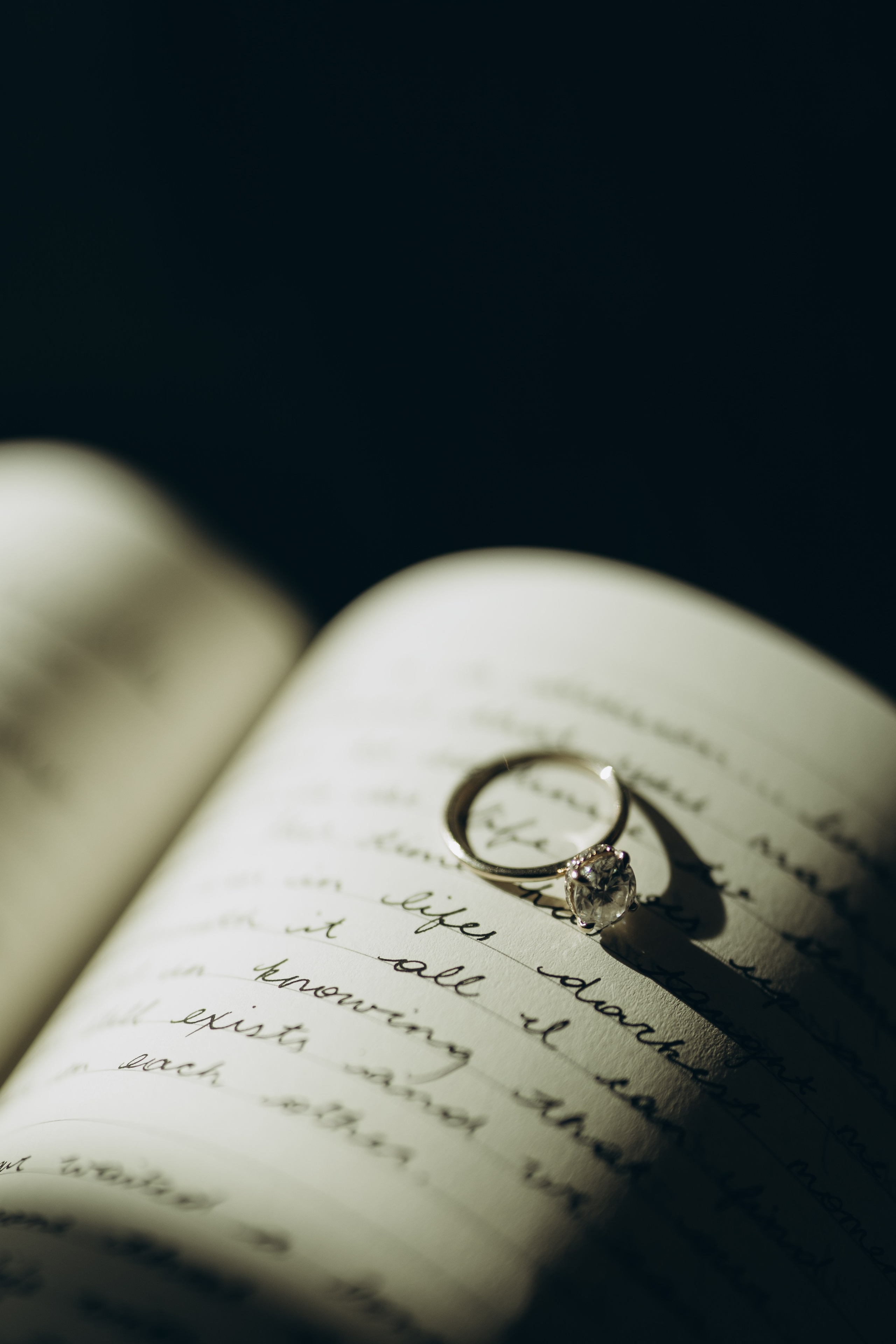 Andy&Michael. Wedding Photographer Toronto