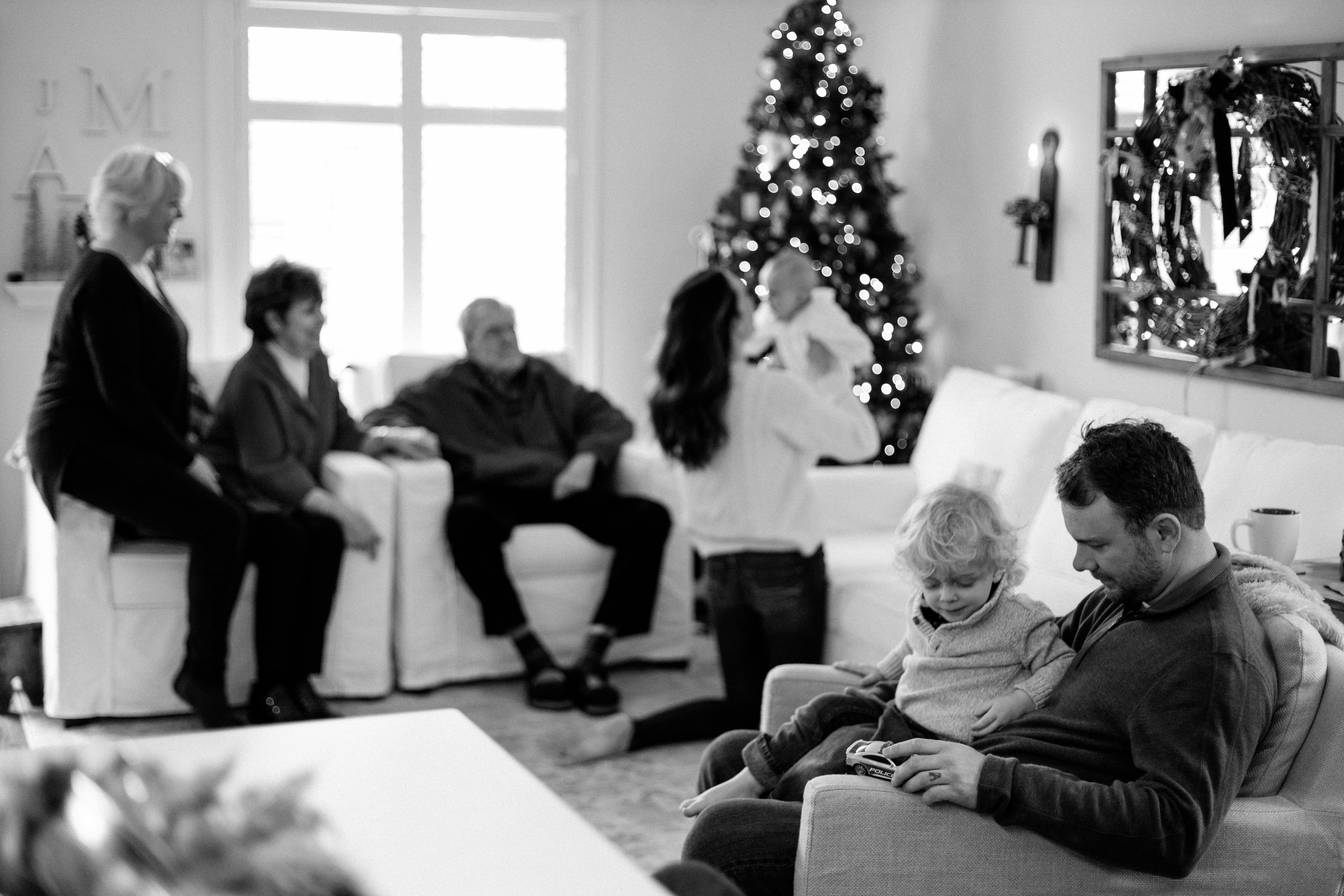 Merry family. Wedding Photographer Toronto