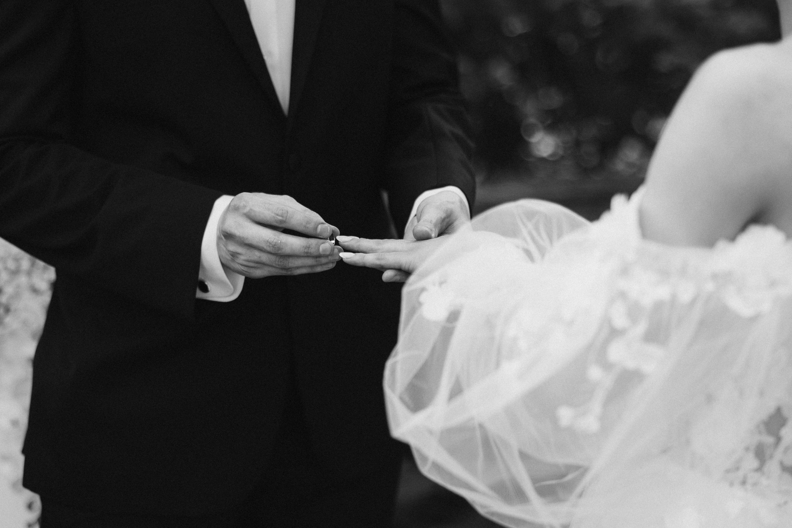 Dasha&Alex. Wedding Photographer Toronto