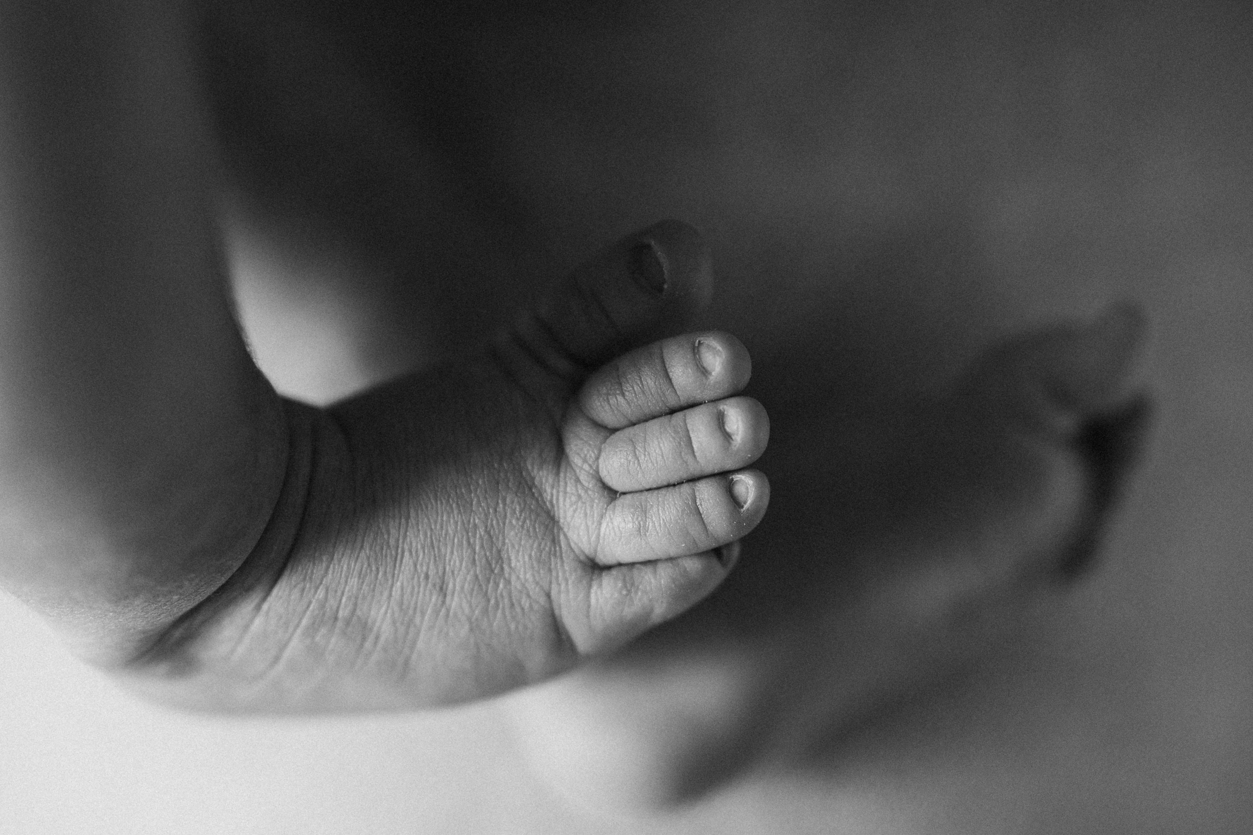 Baby Luca. Wedding Photographer Toronto