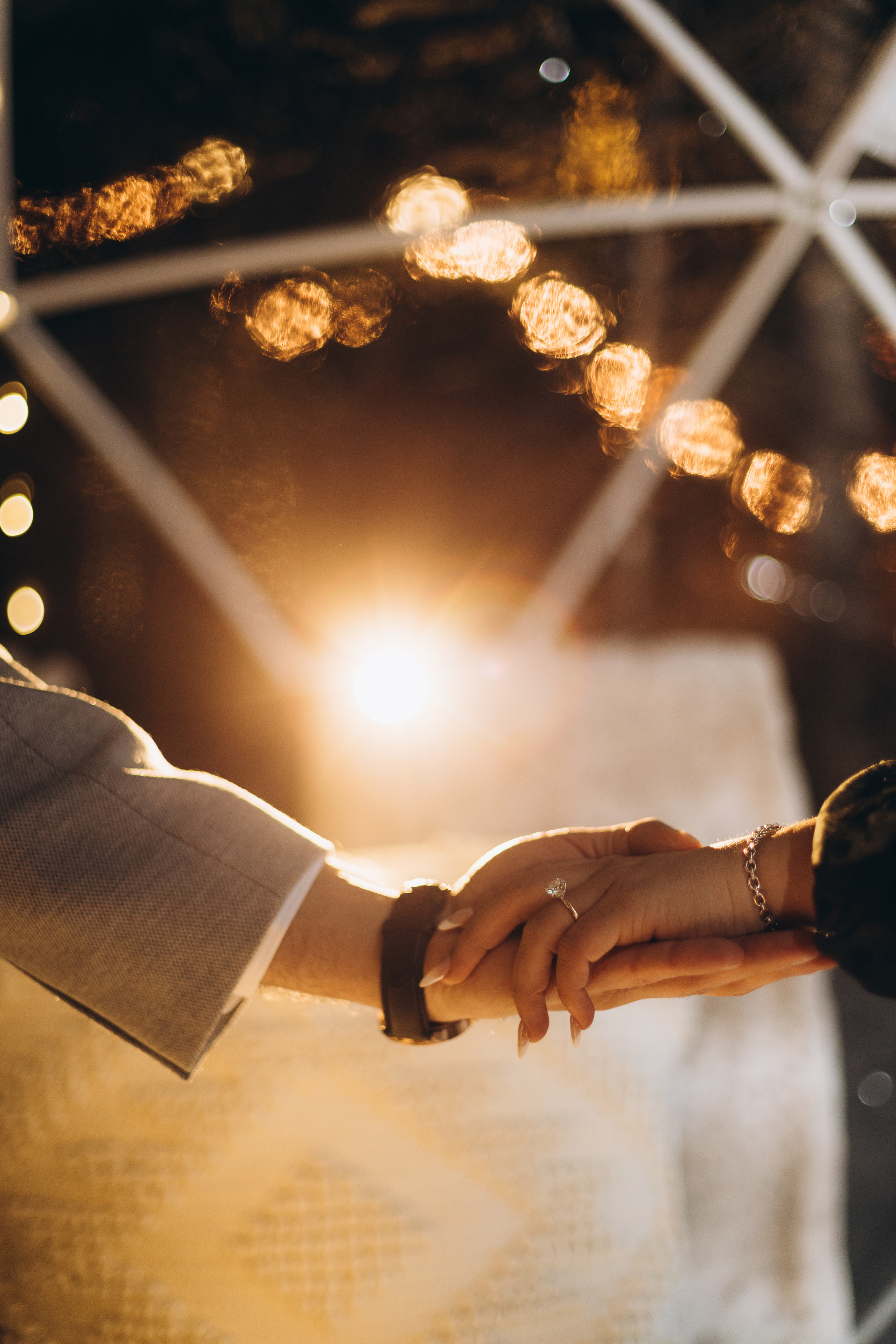 She said Yes!. Wedding Photographer Toronto