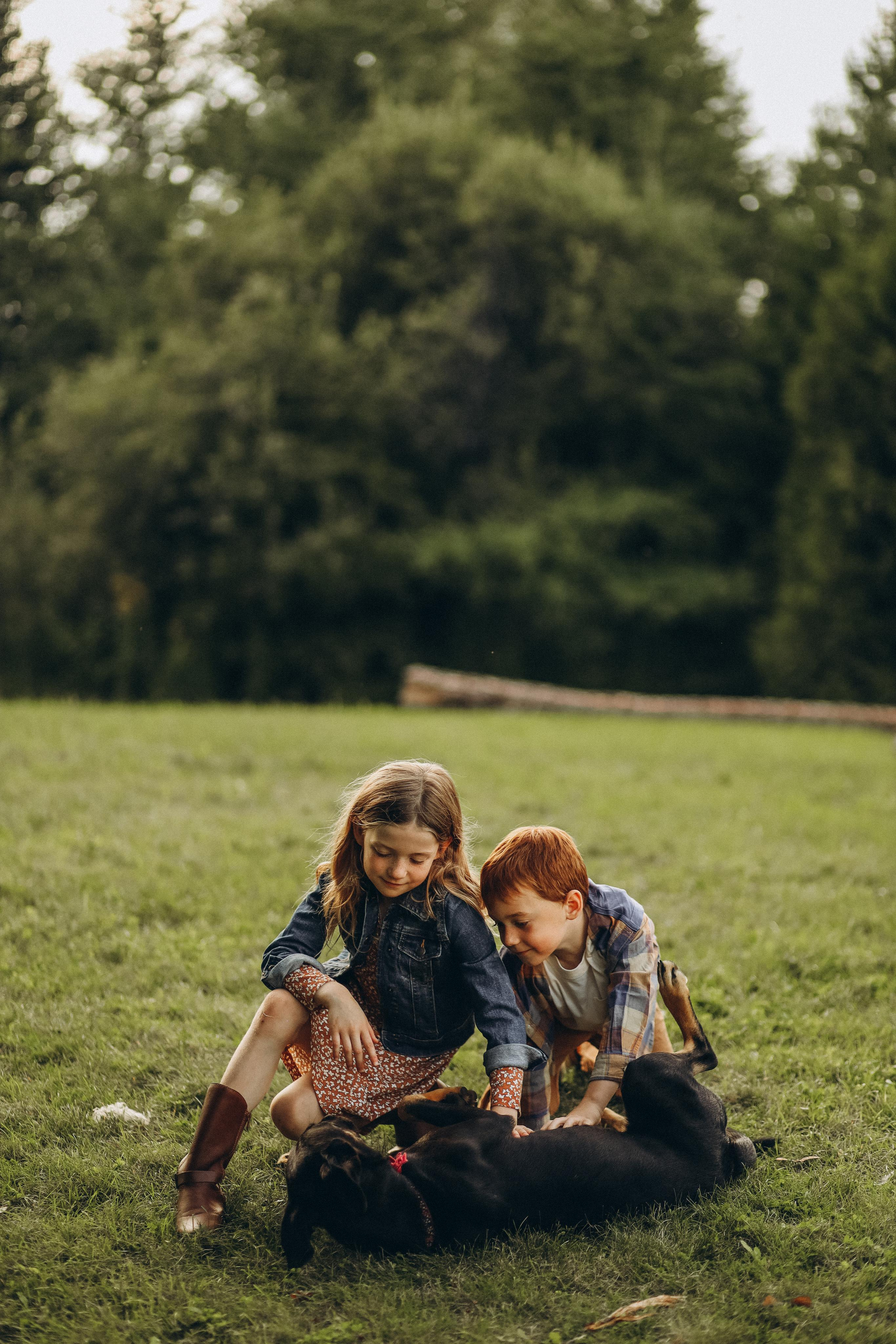 Sullivan family. Wedding Photographer Toronto