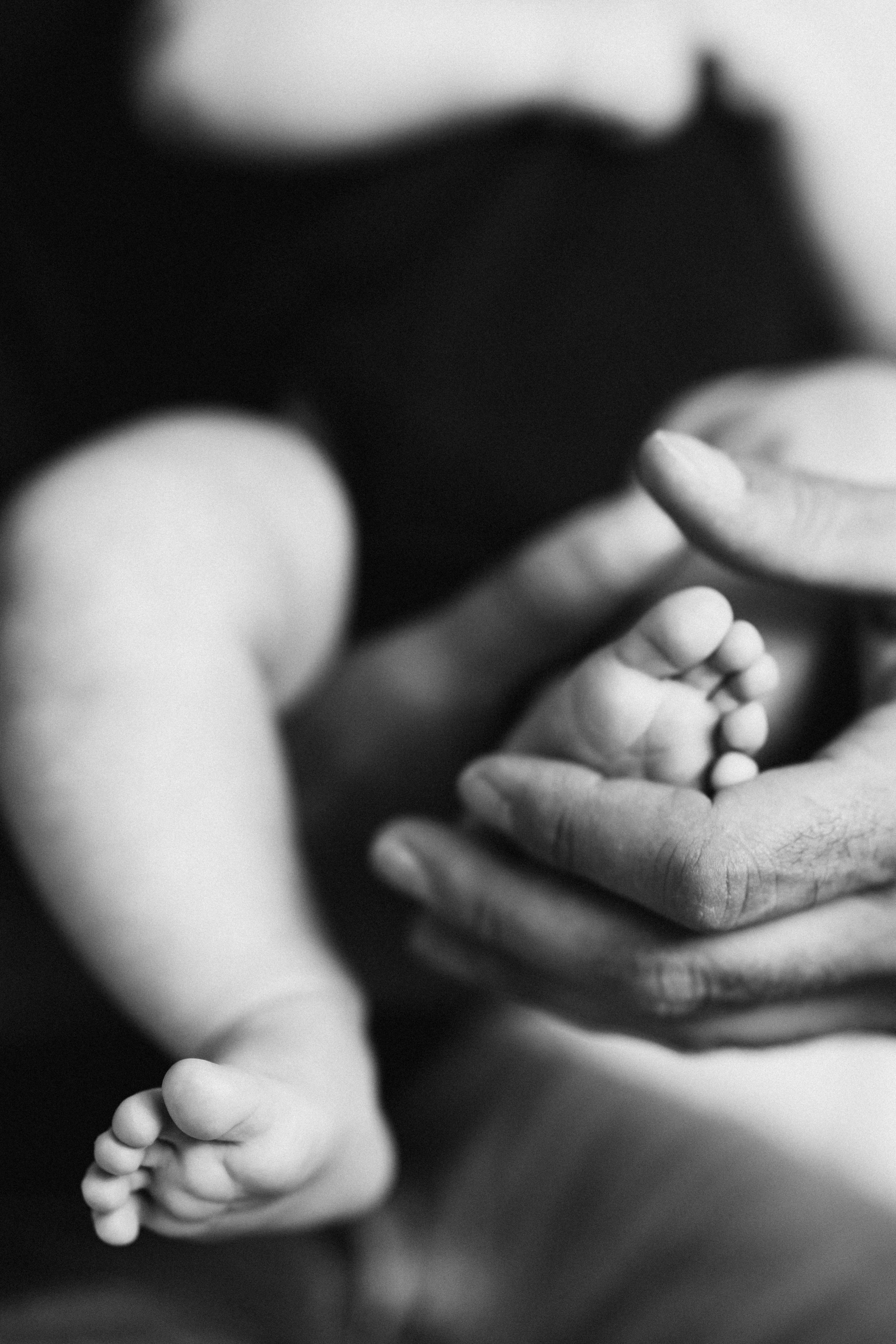 Sima family. Wedding Photographer Toronto