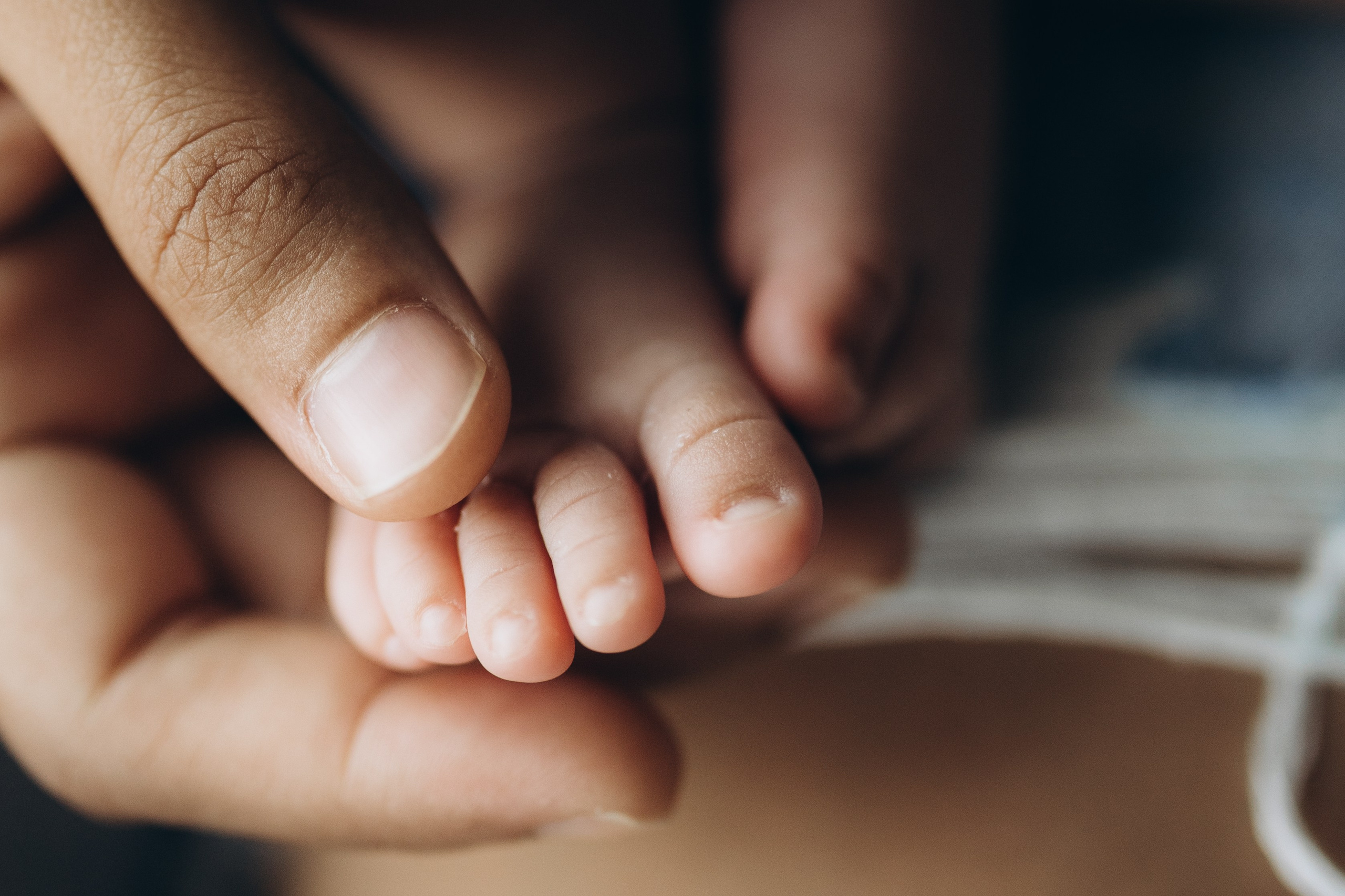 14 days old. Wedding Photographer Toronto
