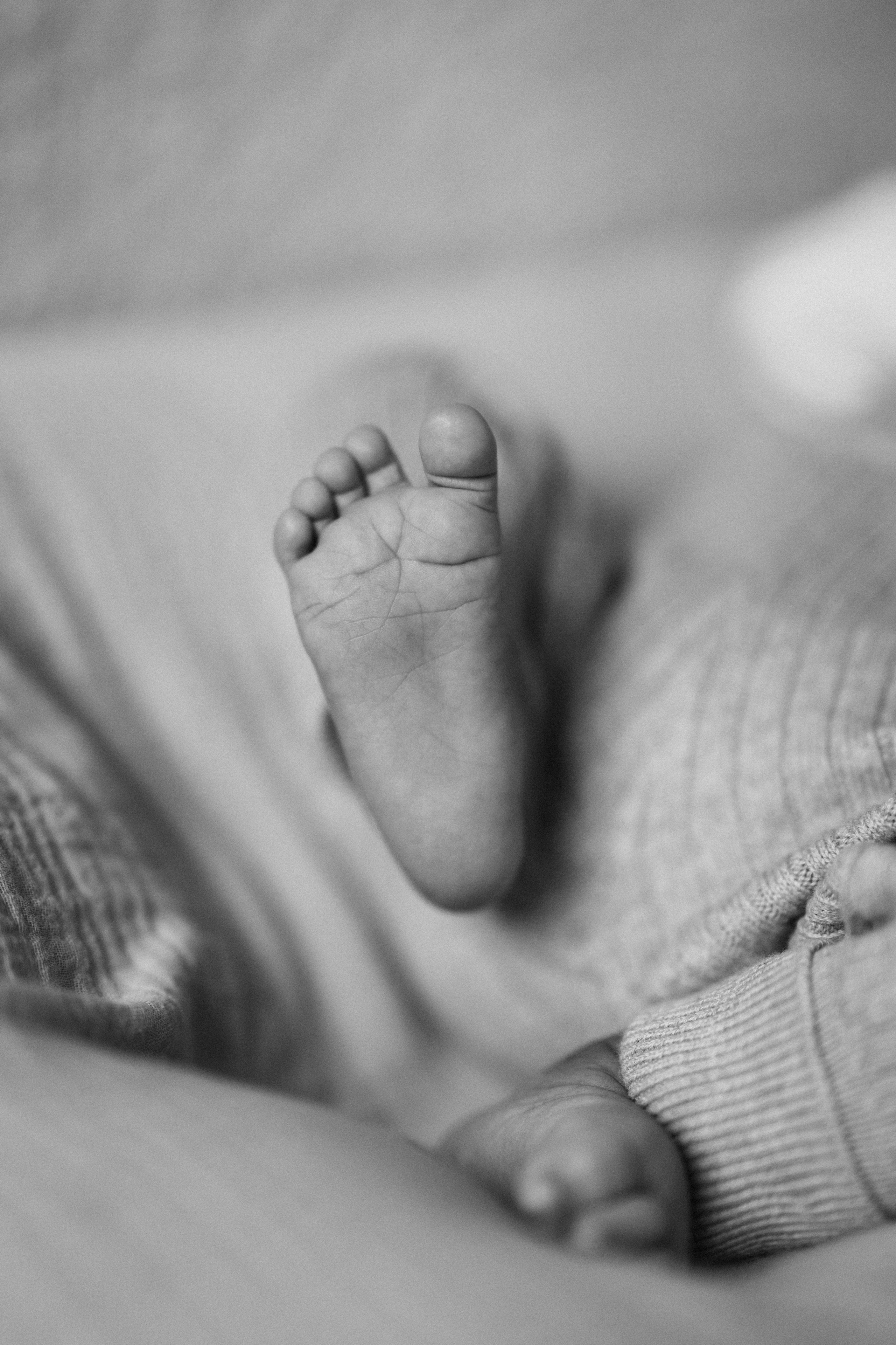 2 month old. Wedding Photographer Toronto