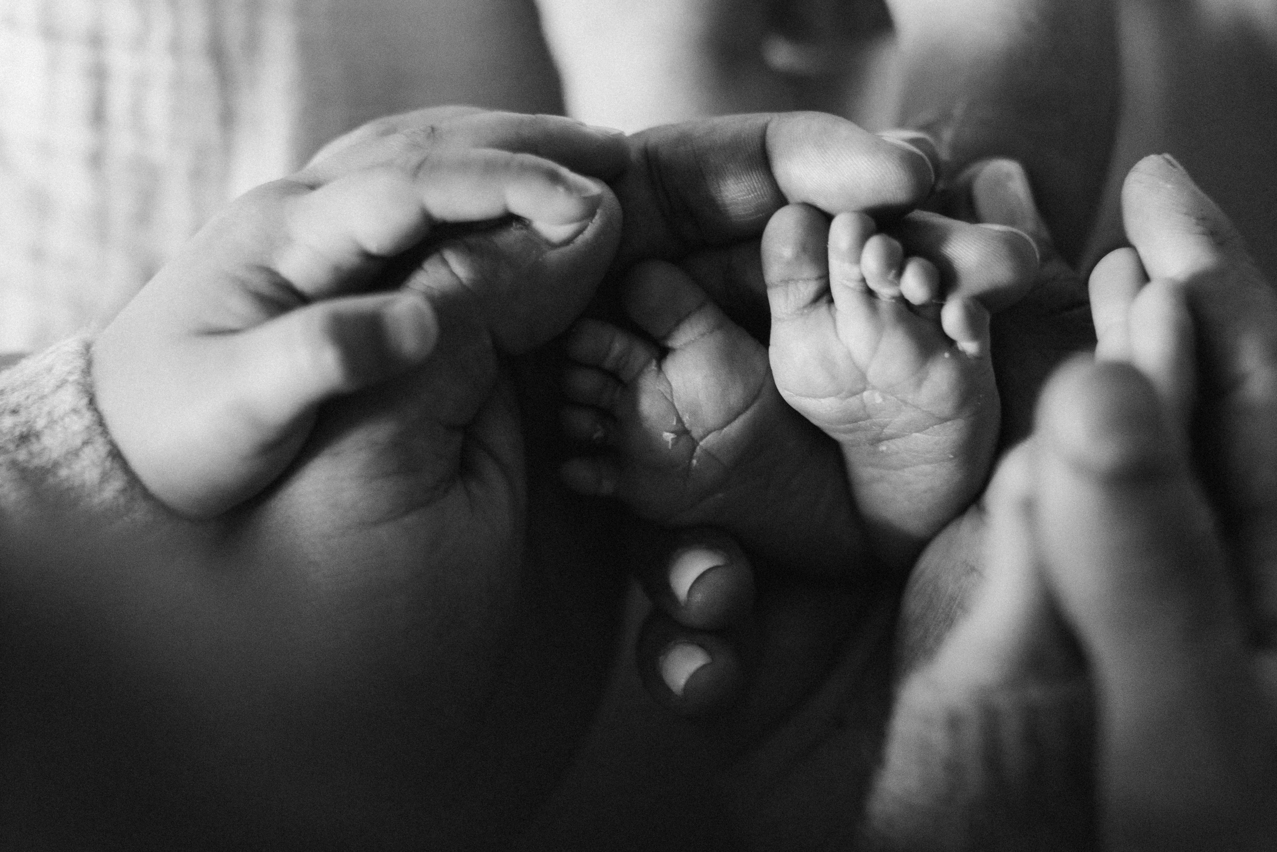 Newborn/family photo session. Wedding Photographer Toronto