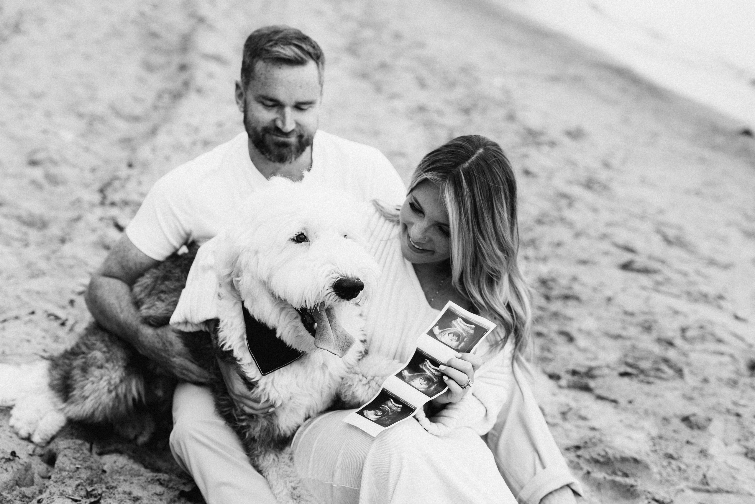 Gender party. Wedding Photographer Toronto