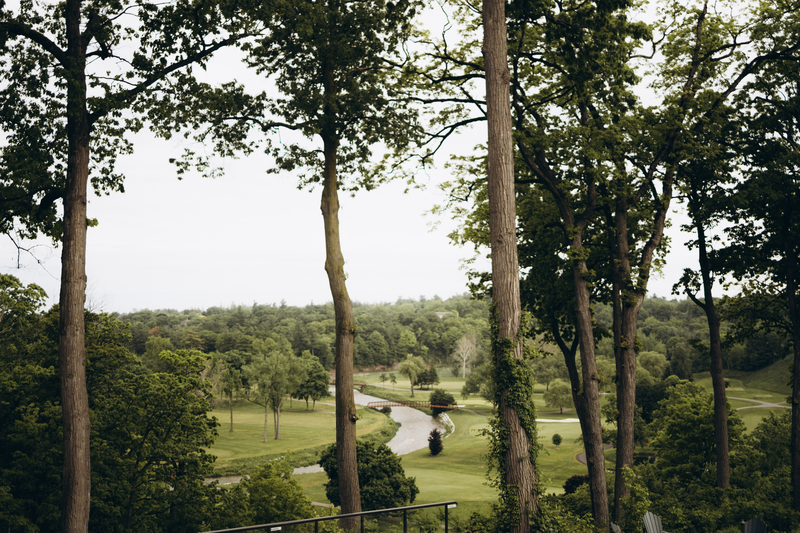 Ximena&Andrew. Wedding Photographer Toronto