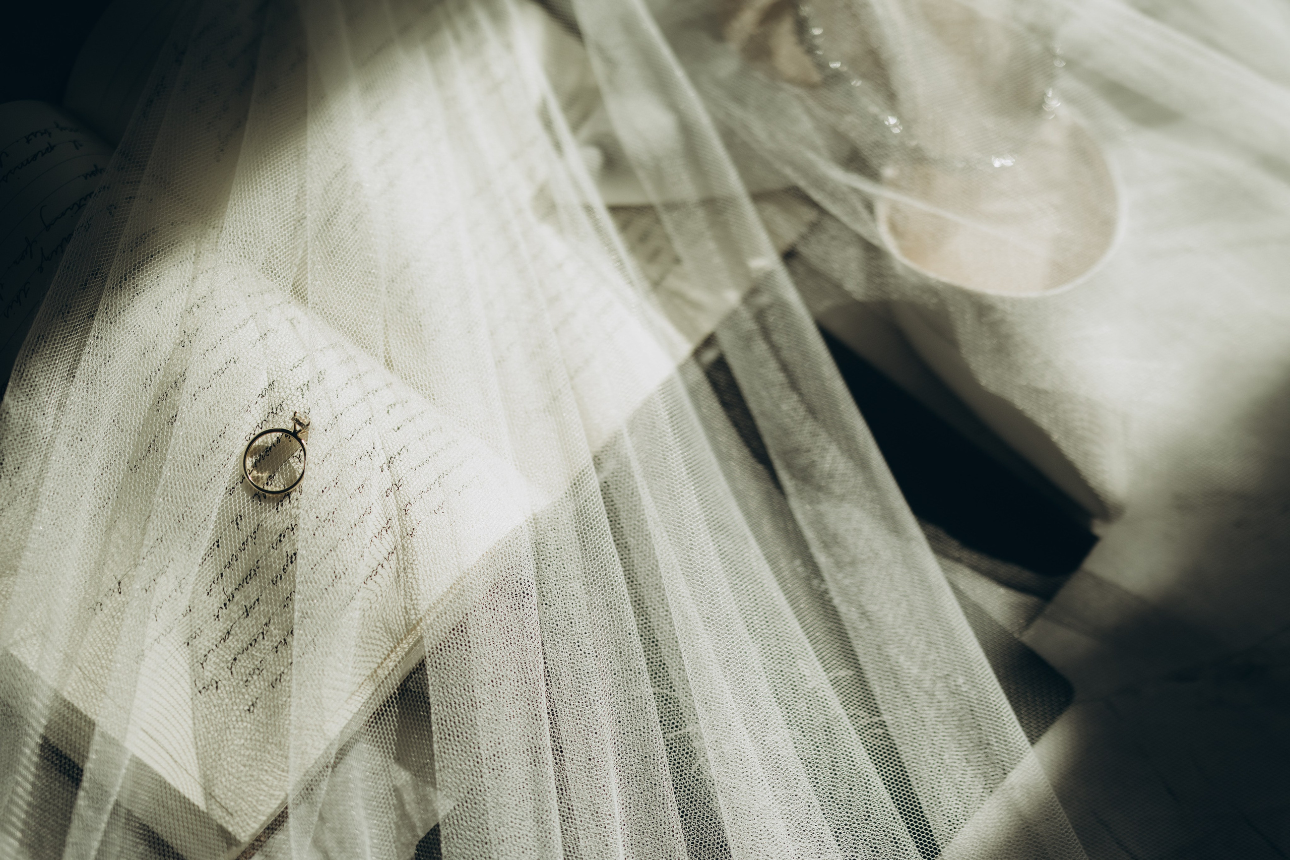 Andy&Michael. Wedding Photographer Toronto