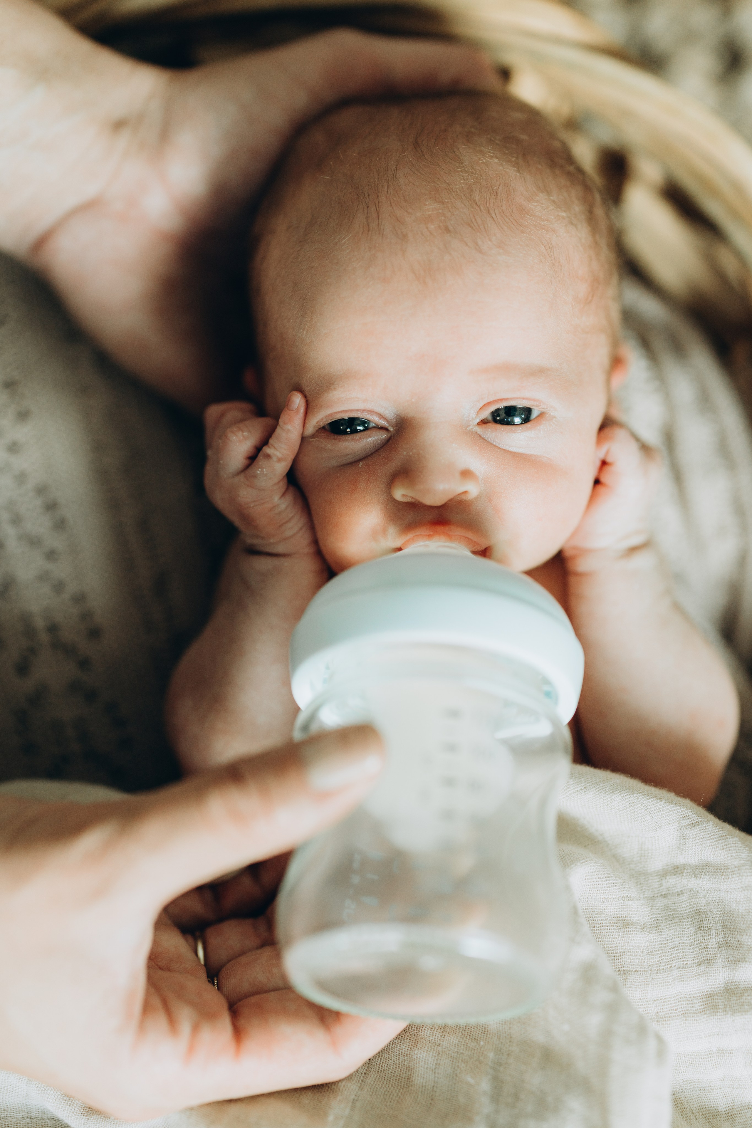 7 days old. Wedding Photographer Toronto