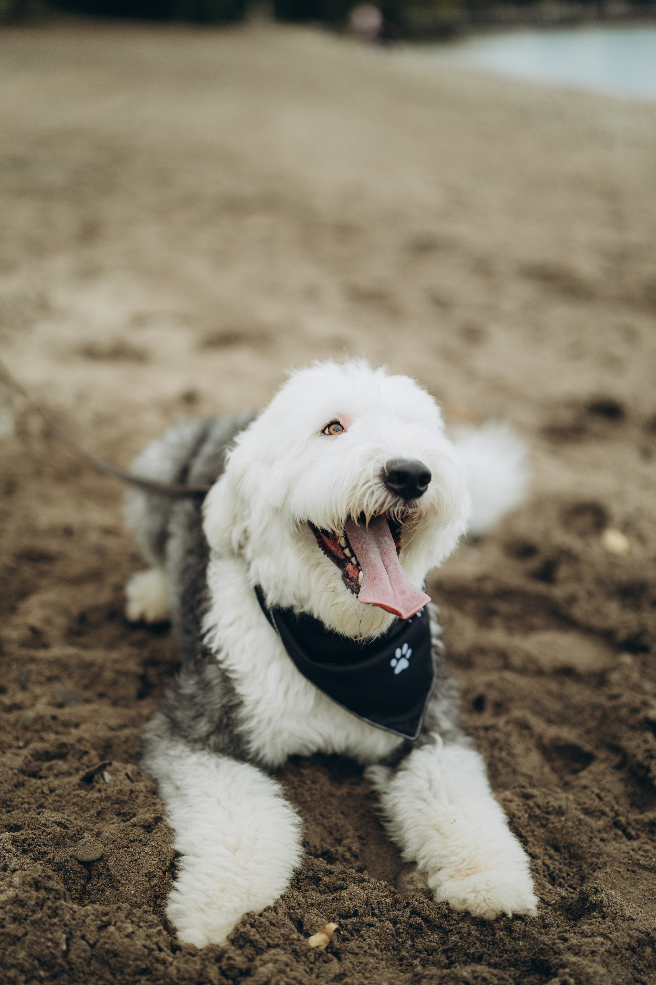 Gender party. Wedding Photographer Toronto
