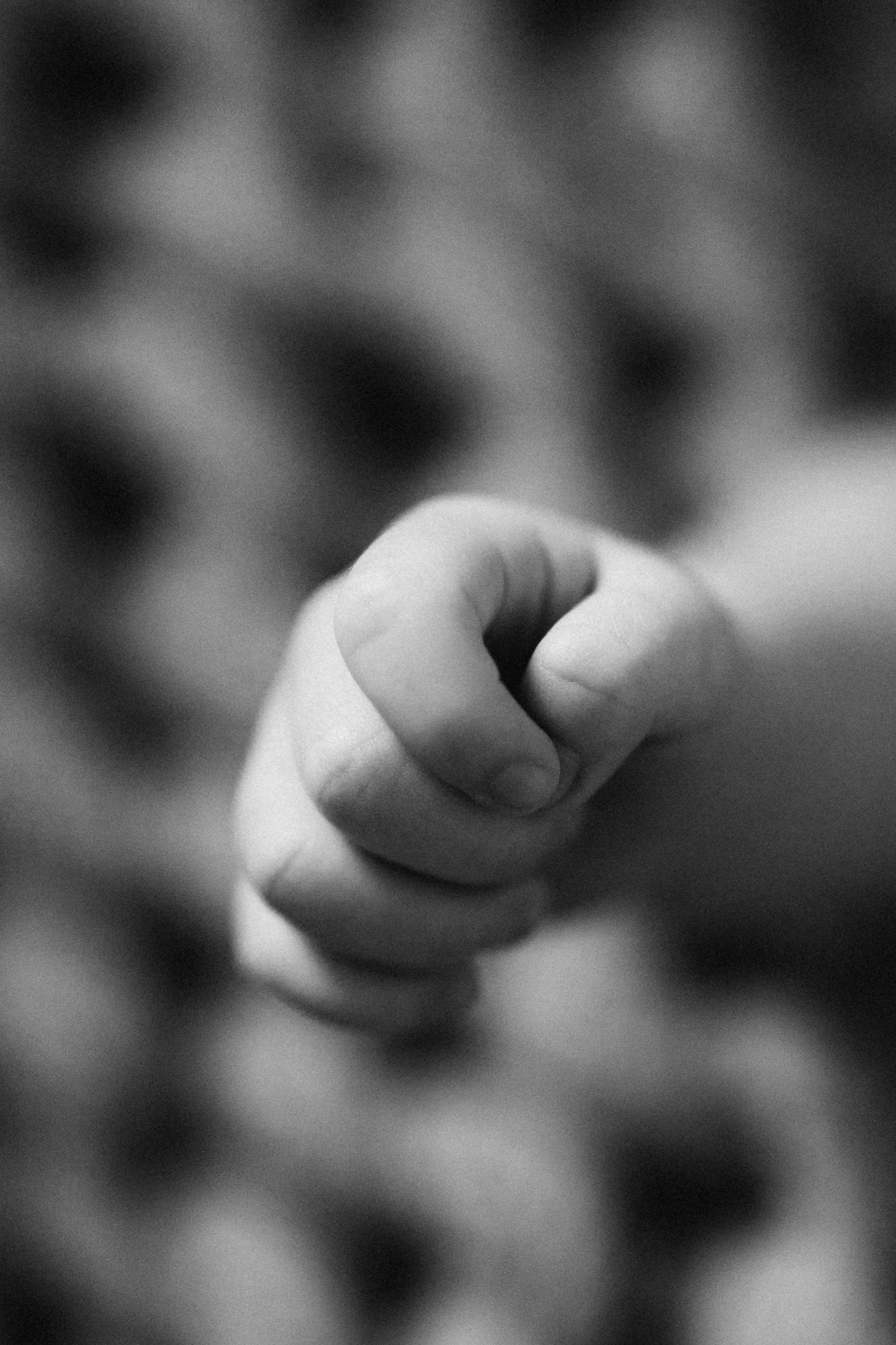 Avery. Wedding Photographer Toronto