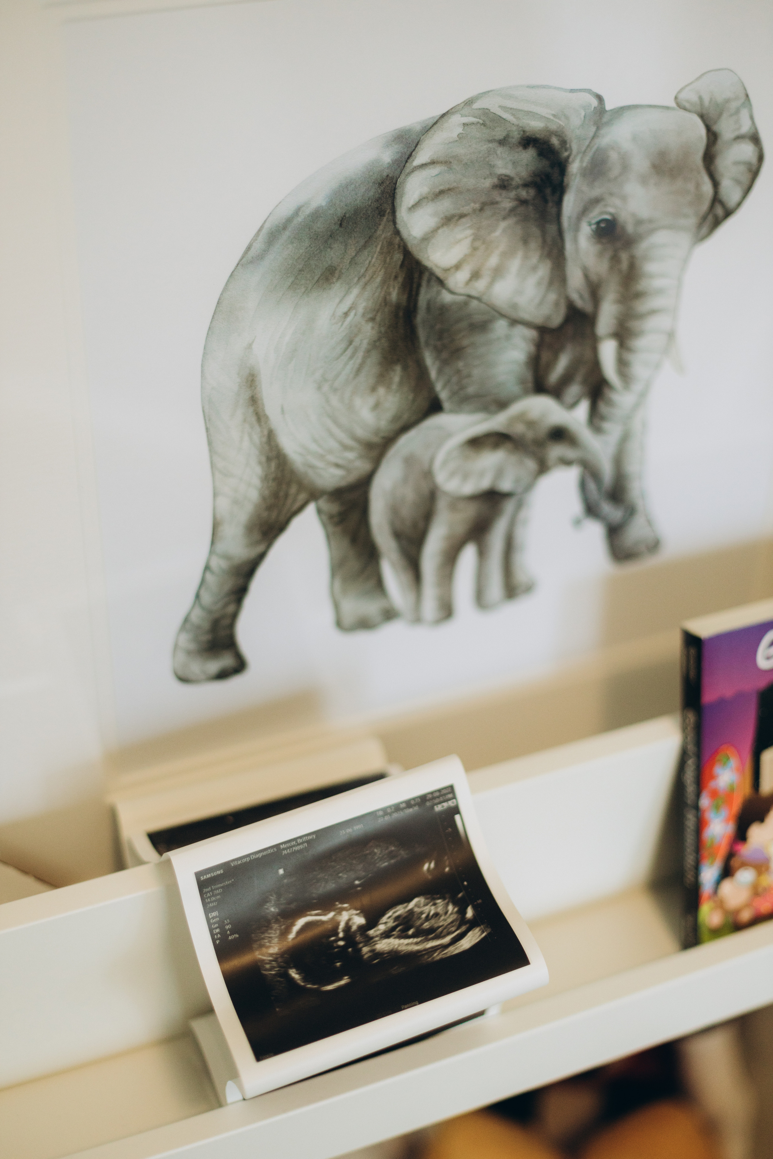 Britney&Dave. Wedding Photographer Toronto