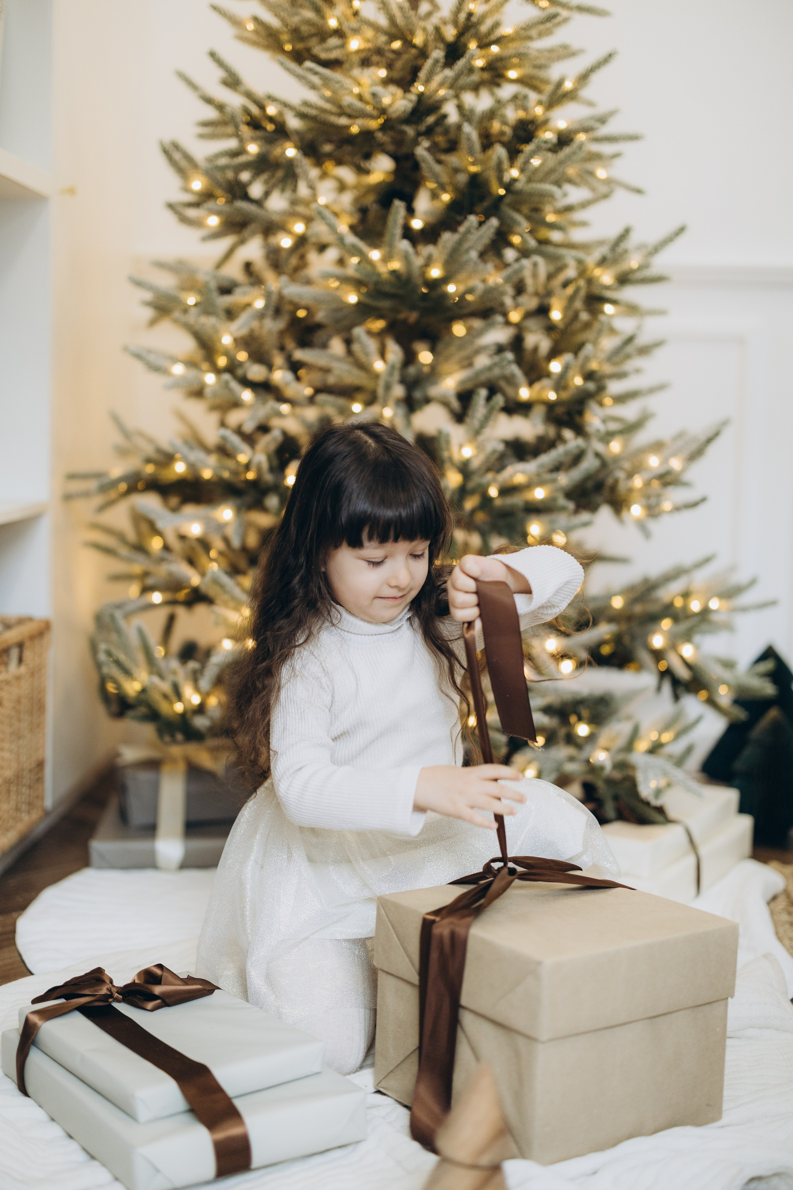 Christmas 2023. Wedding Photographer Toronto