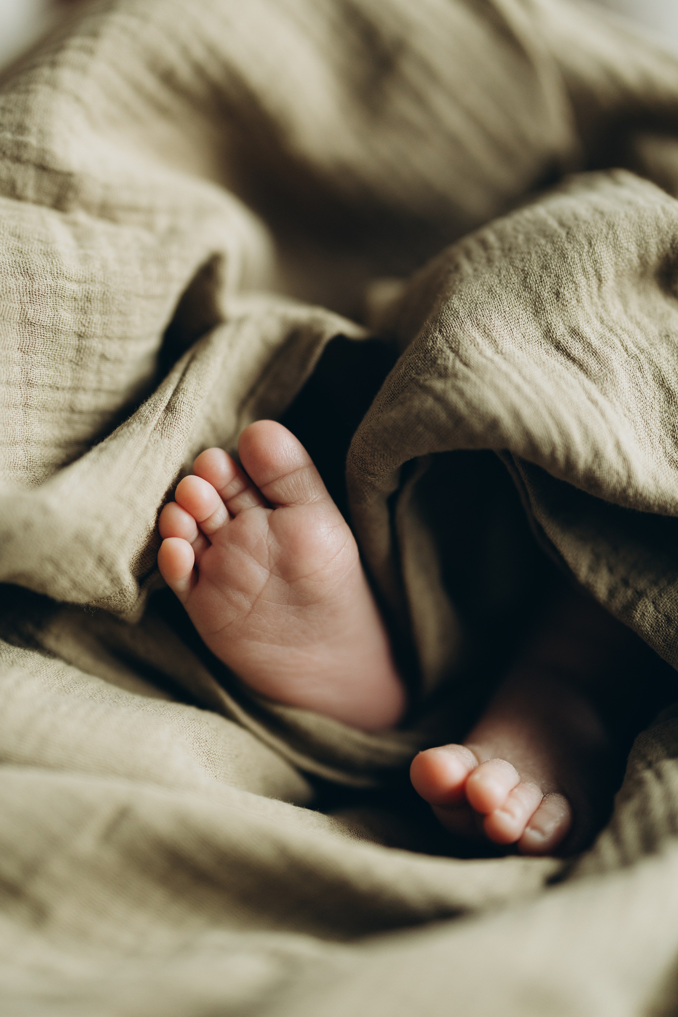 Family photo session. Wedding Photographer Toronto