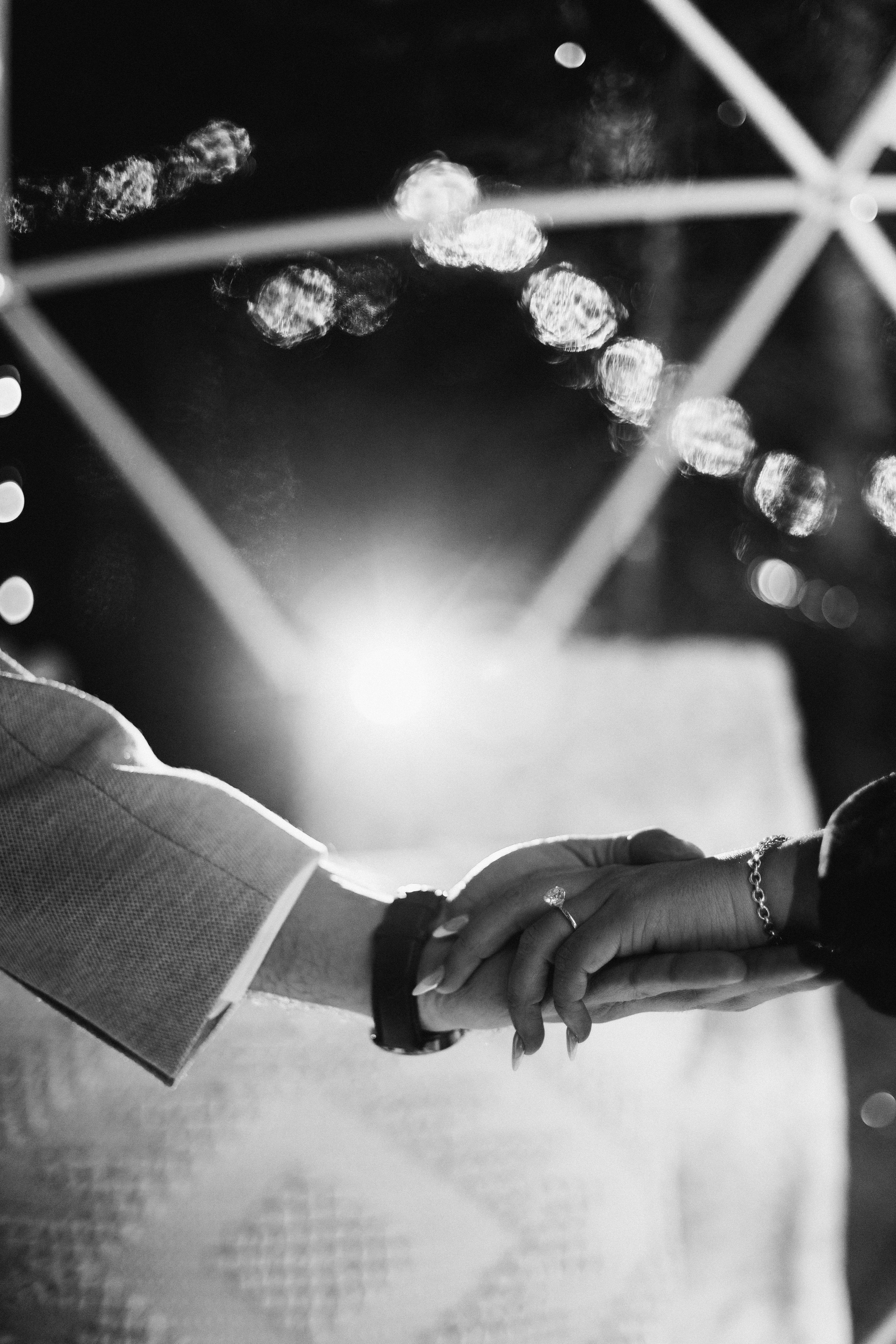 She said Yes!. Wedding Photographer Toronto