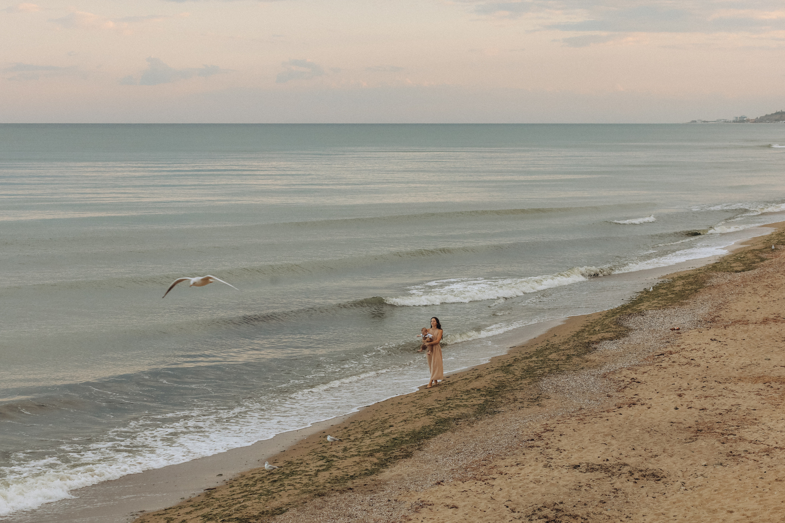Teo. Wedding Photographer Toronto