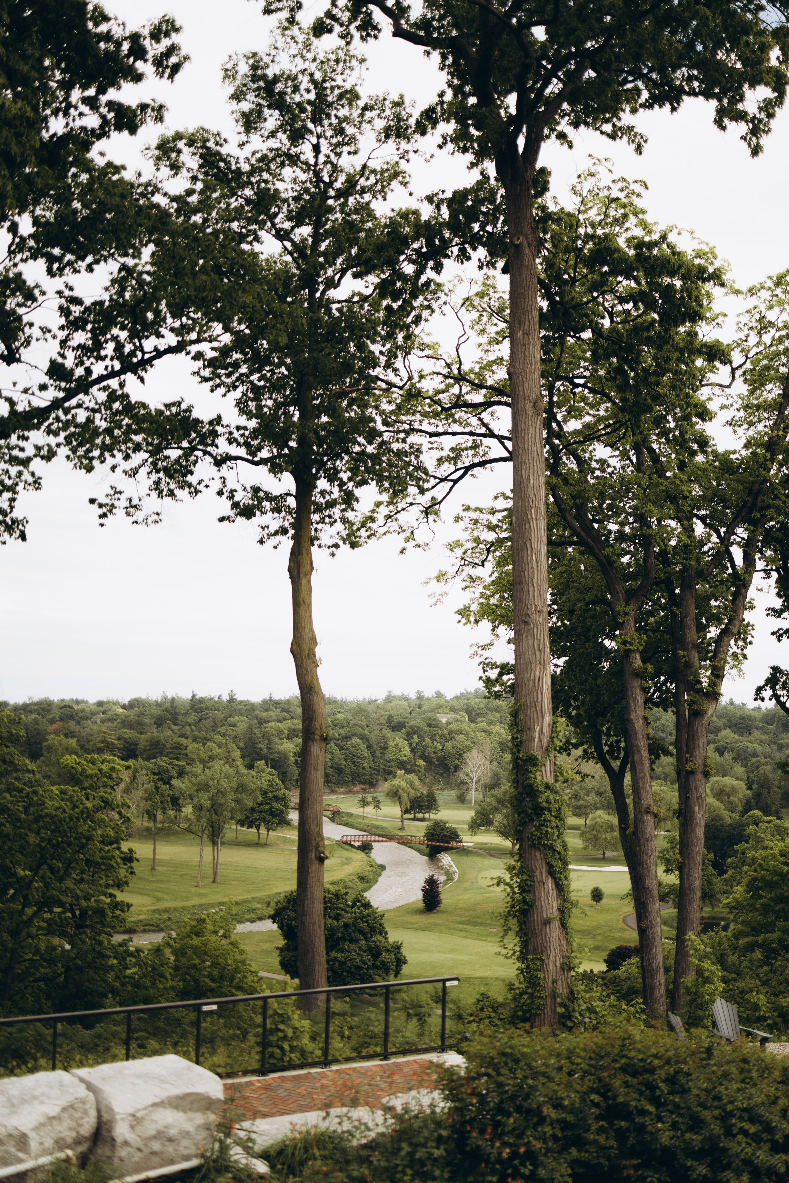 Ximena&Andrew. Wedding Photographer Toronto