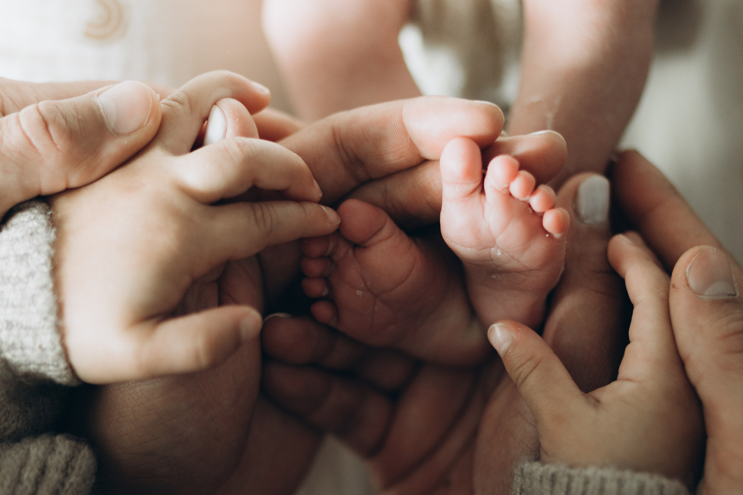 Newborn/family photo session. Wedding Photographer Toronto