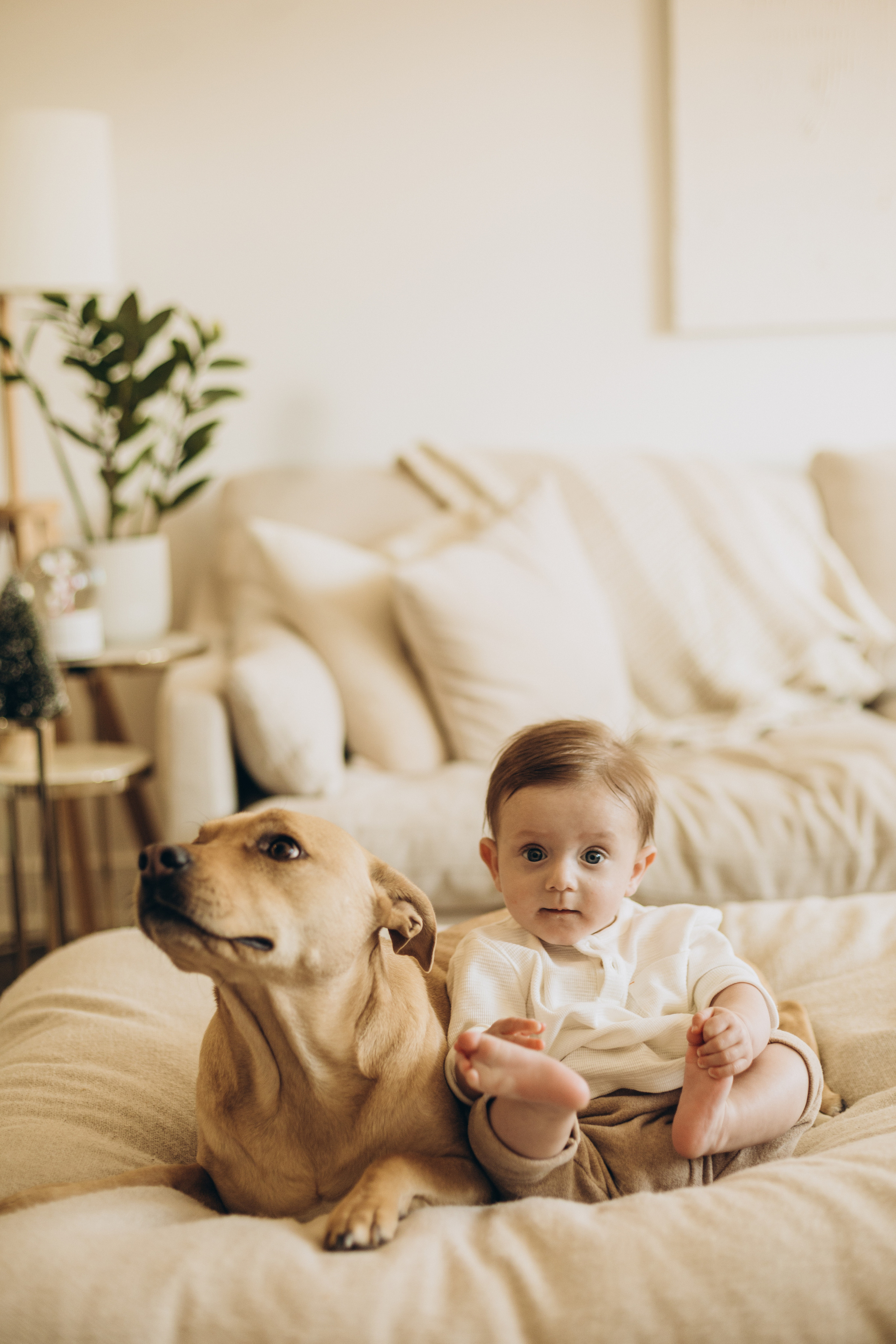 First Christmas. Wedding Photographer Toronto