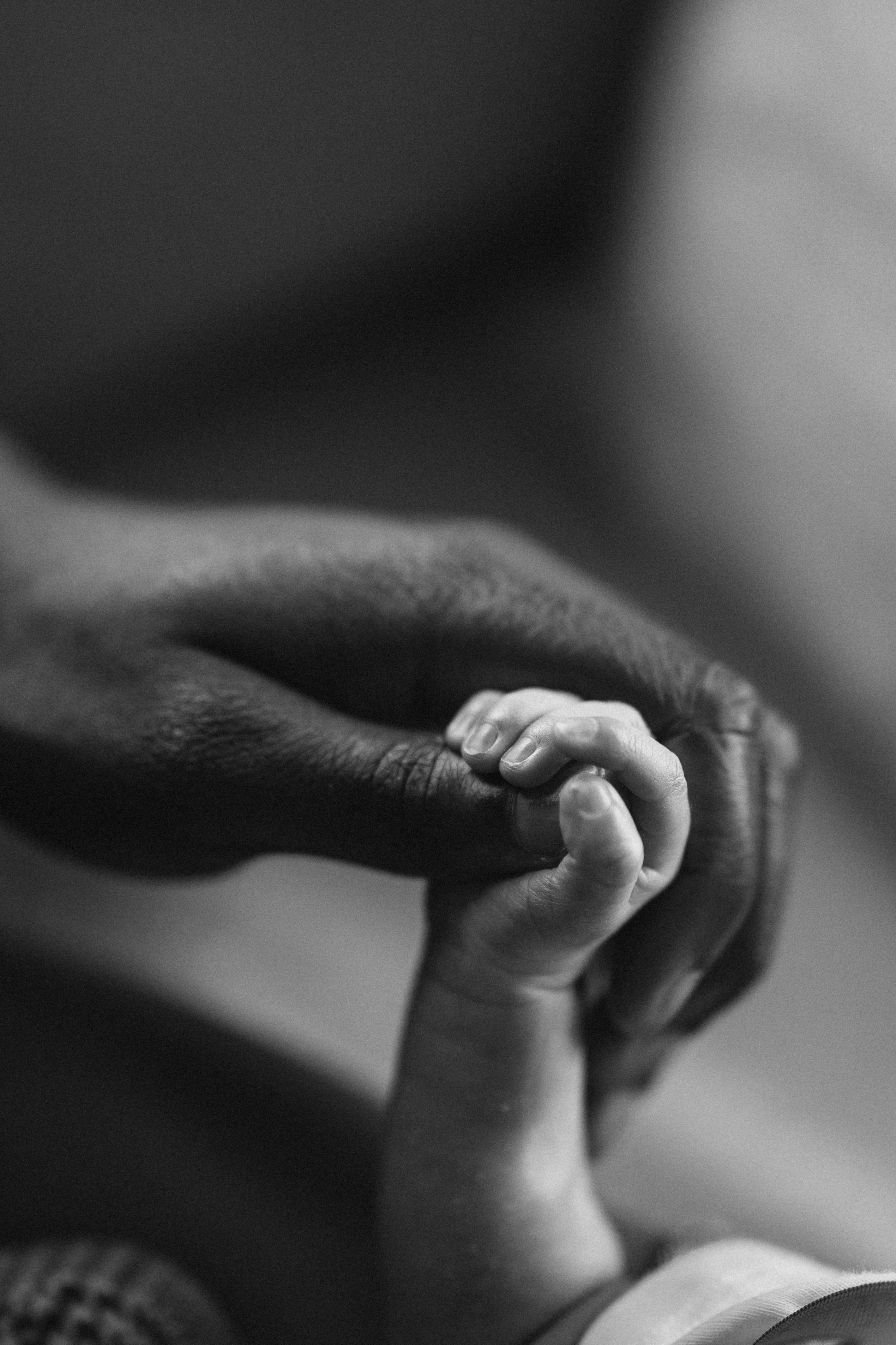 Baby N. Wedding Photographer Toronto