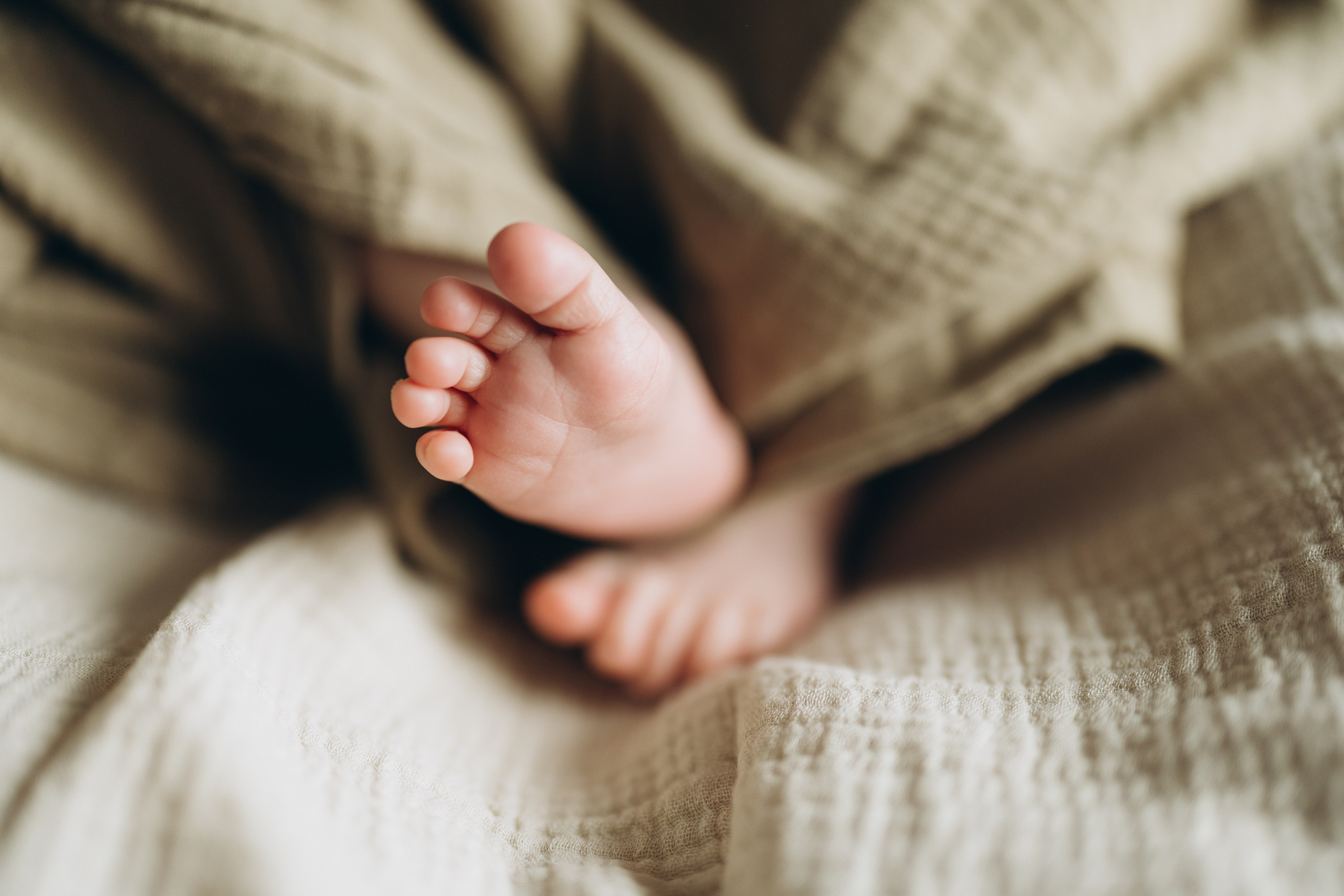 Family photo session. Wedding Photographer Toronto