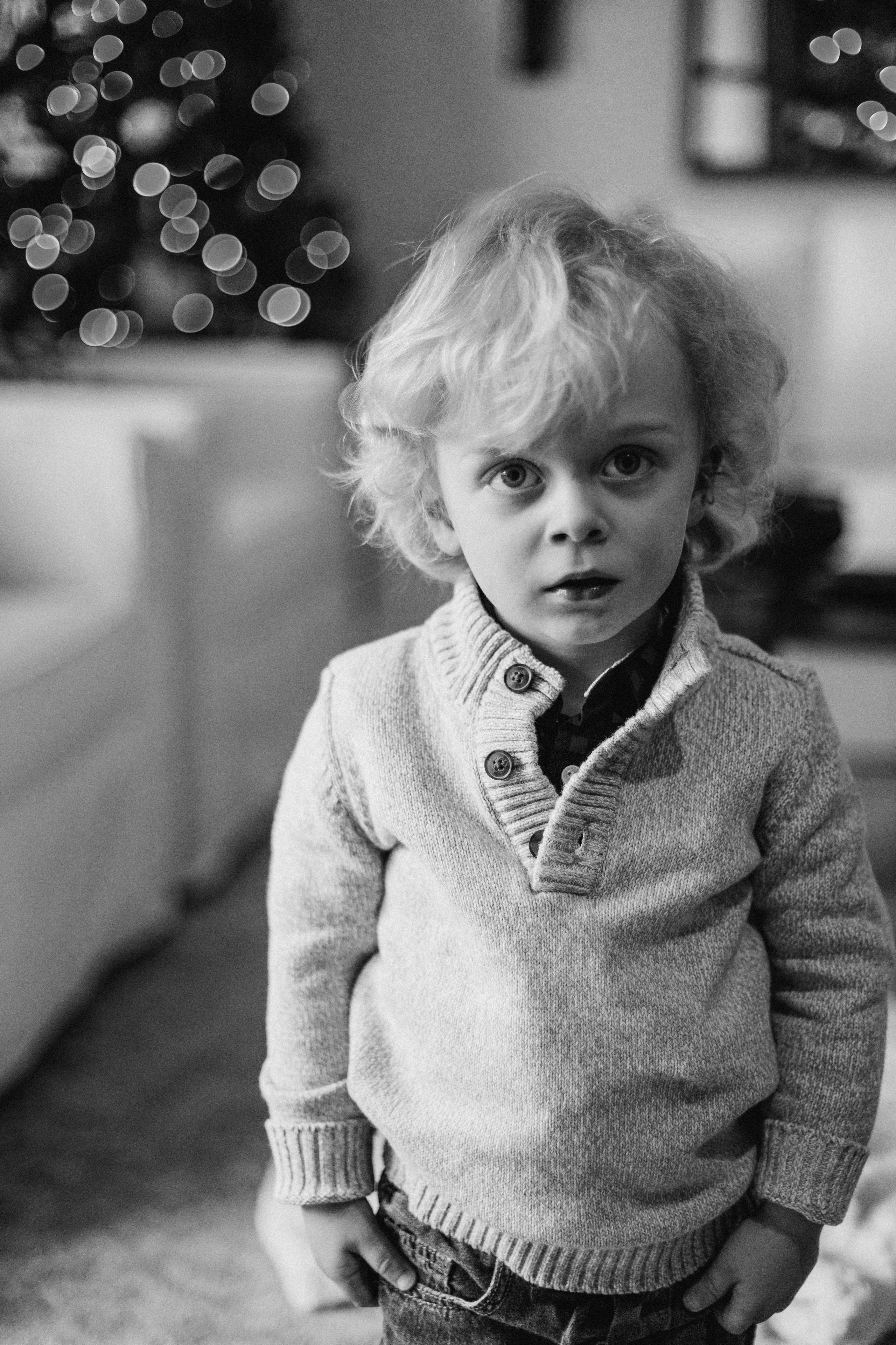 Merry family. Wedding Photographer Toronto