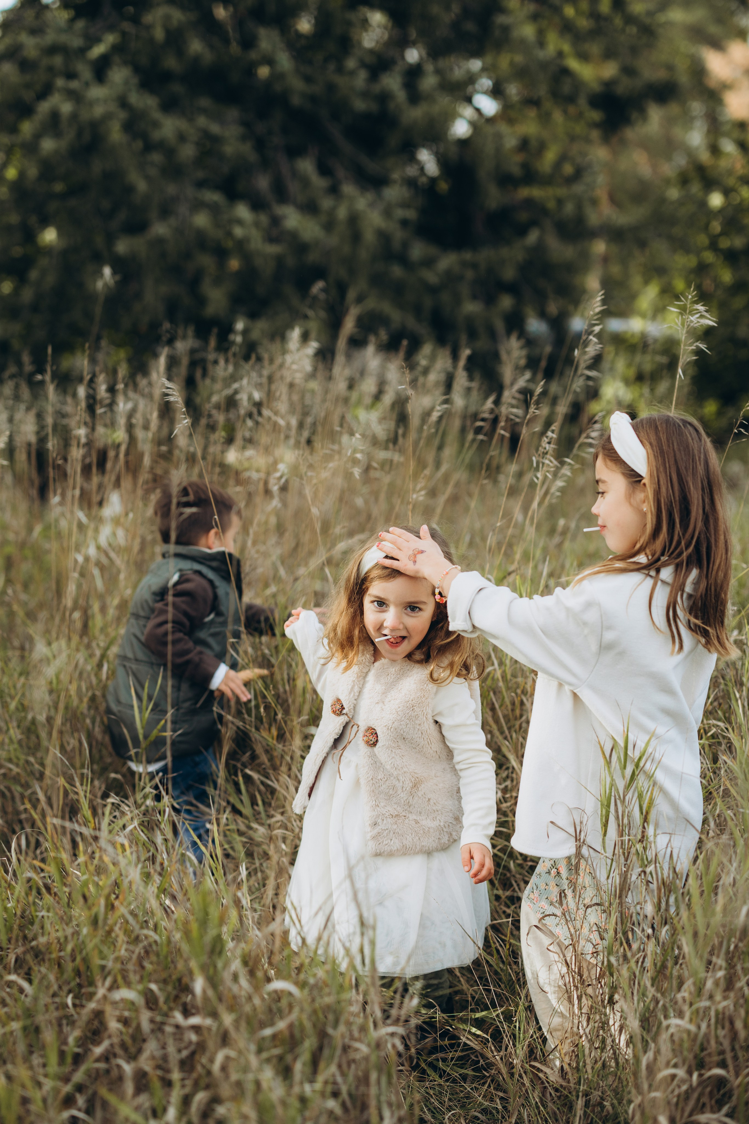 Scotsdale farm. Wedding Photographer Toronto