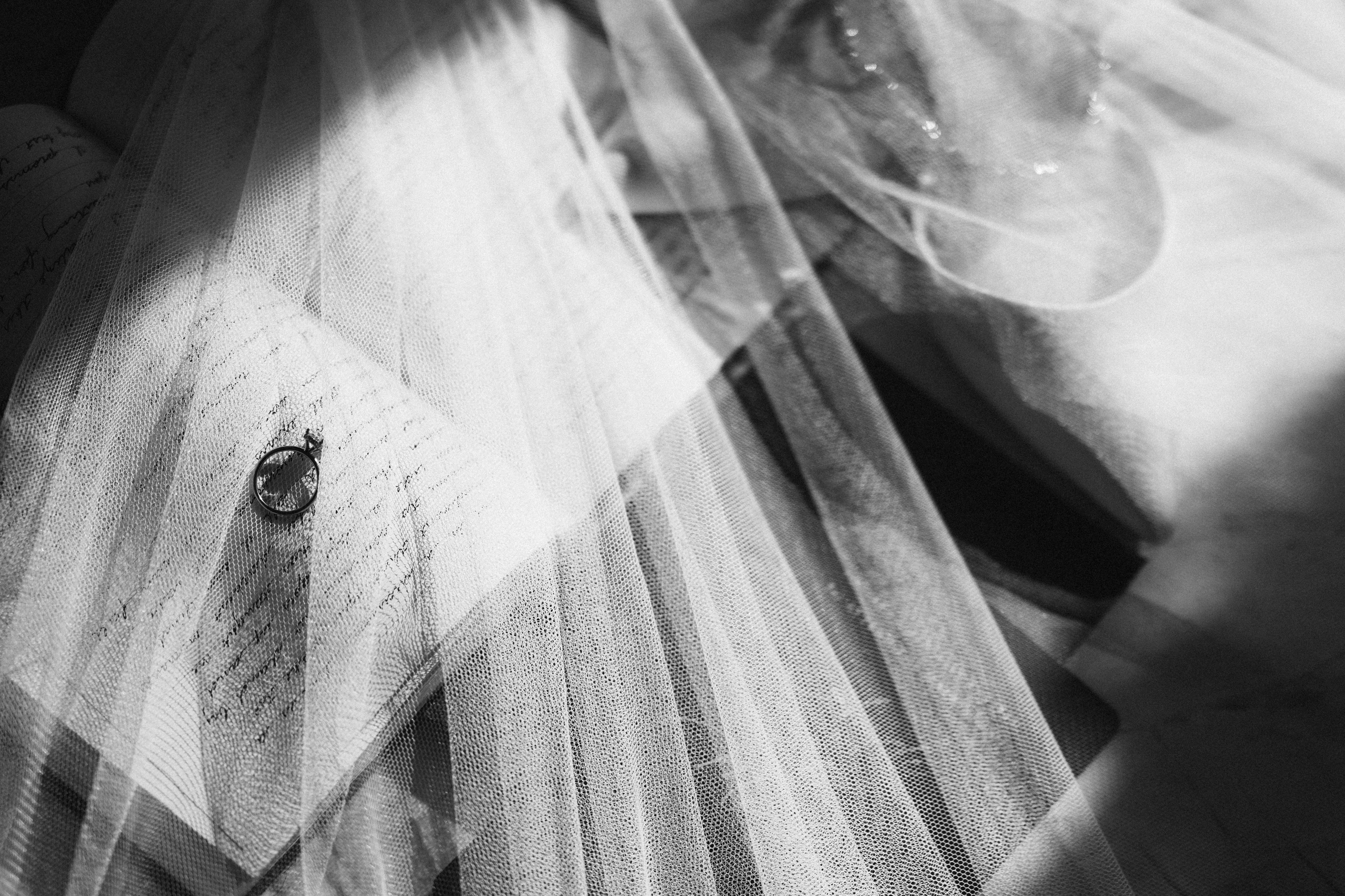 Andy&Michael. Wedding Photographer Toronto