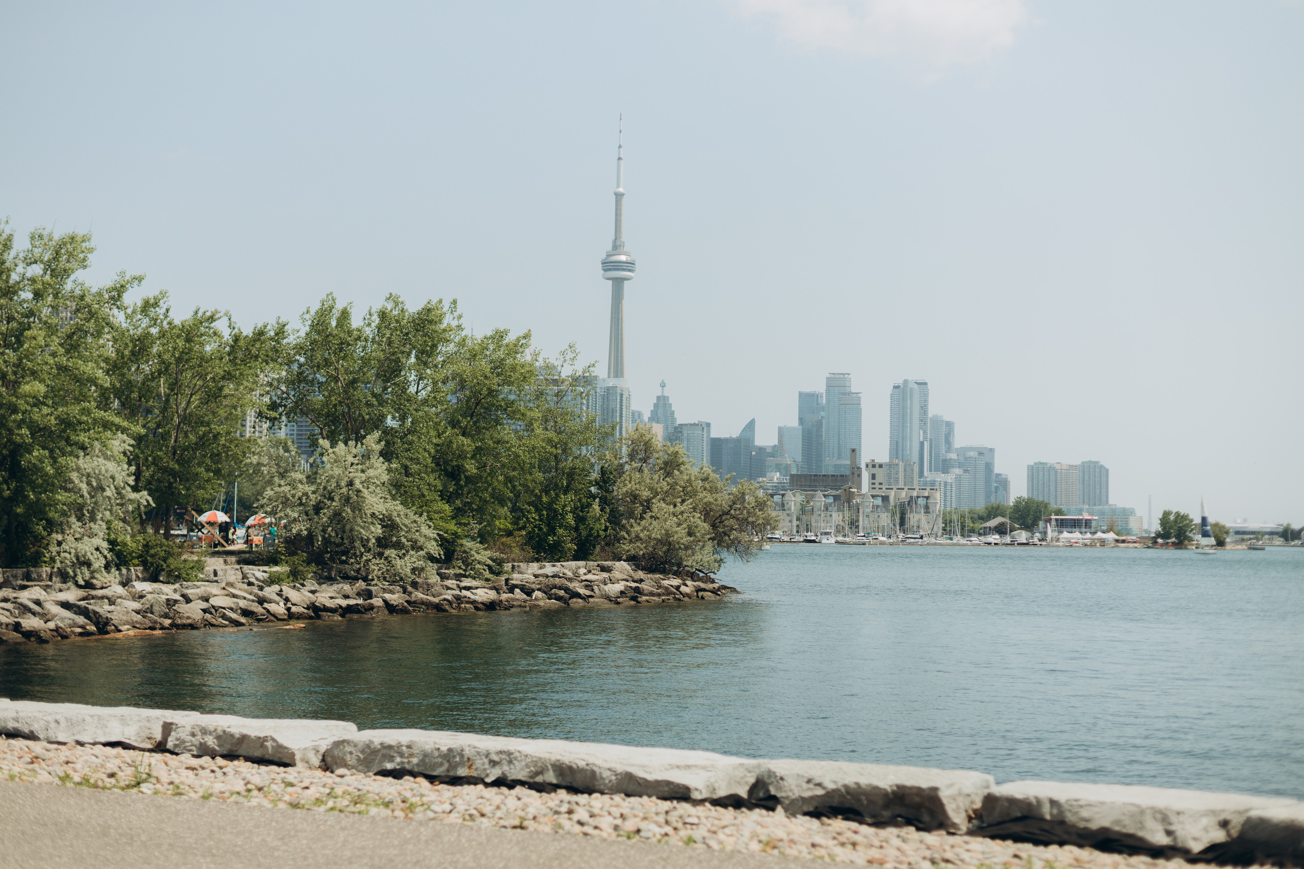 She said Yes!. Wedding Photographer Toronto