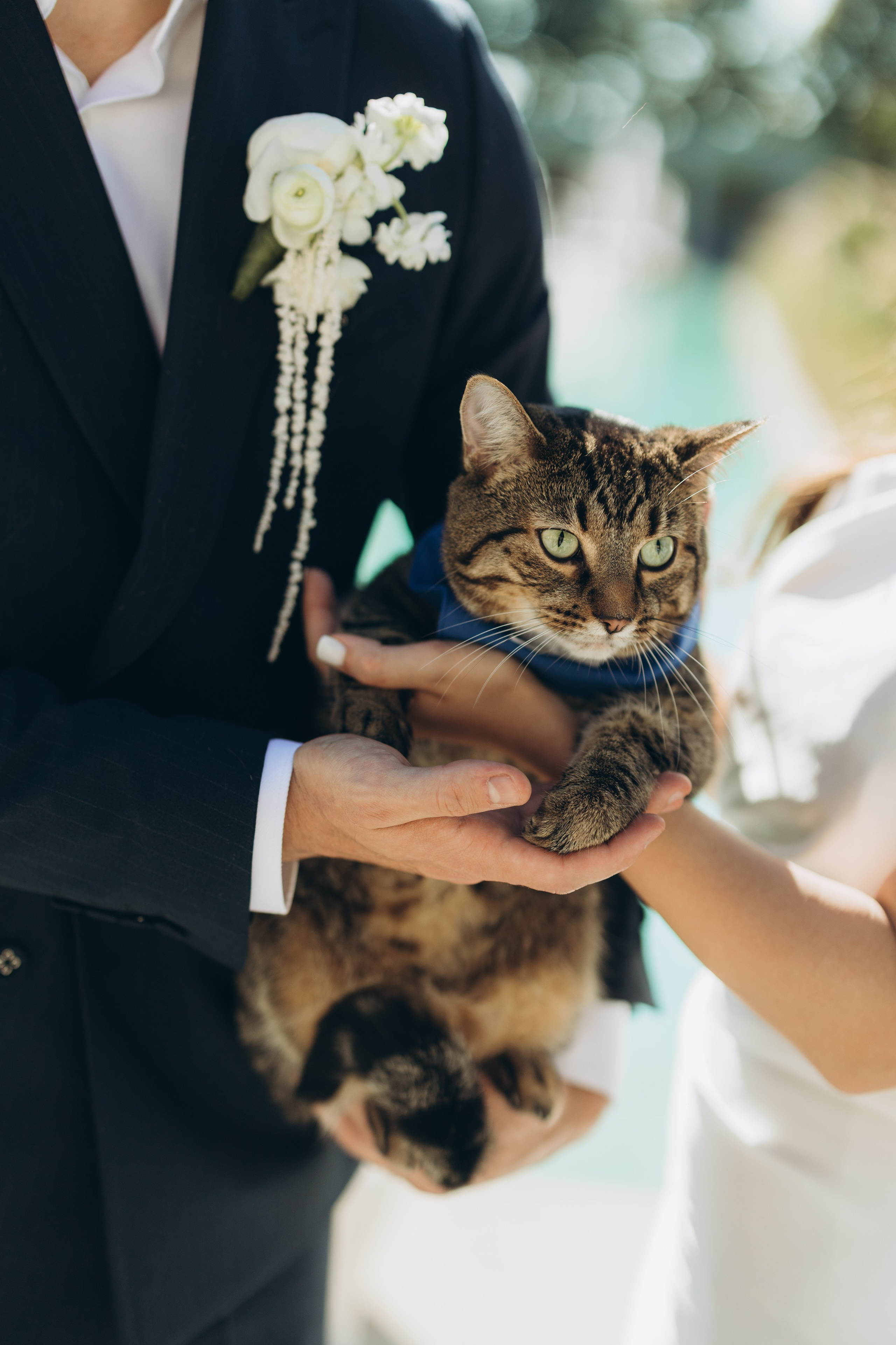 Parkwood estate. Wedding Photographer Toronto