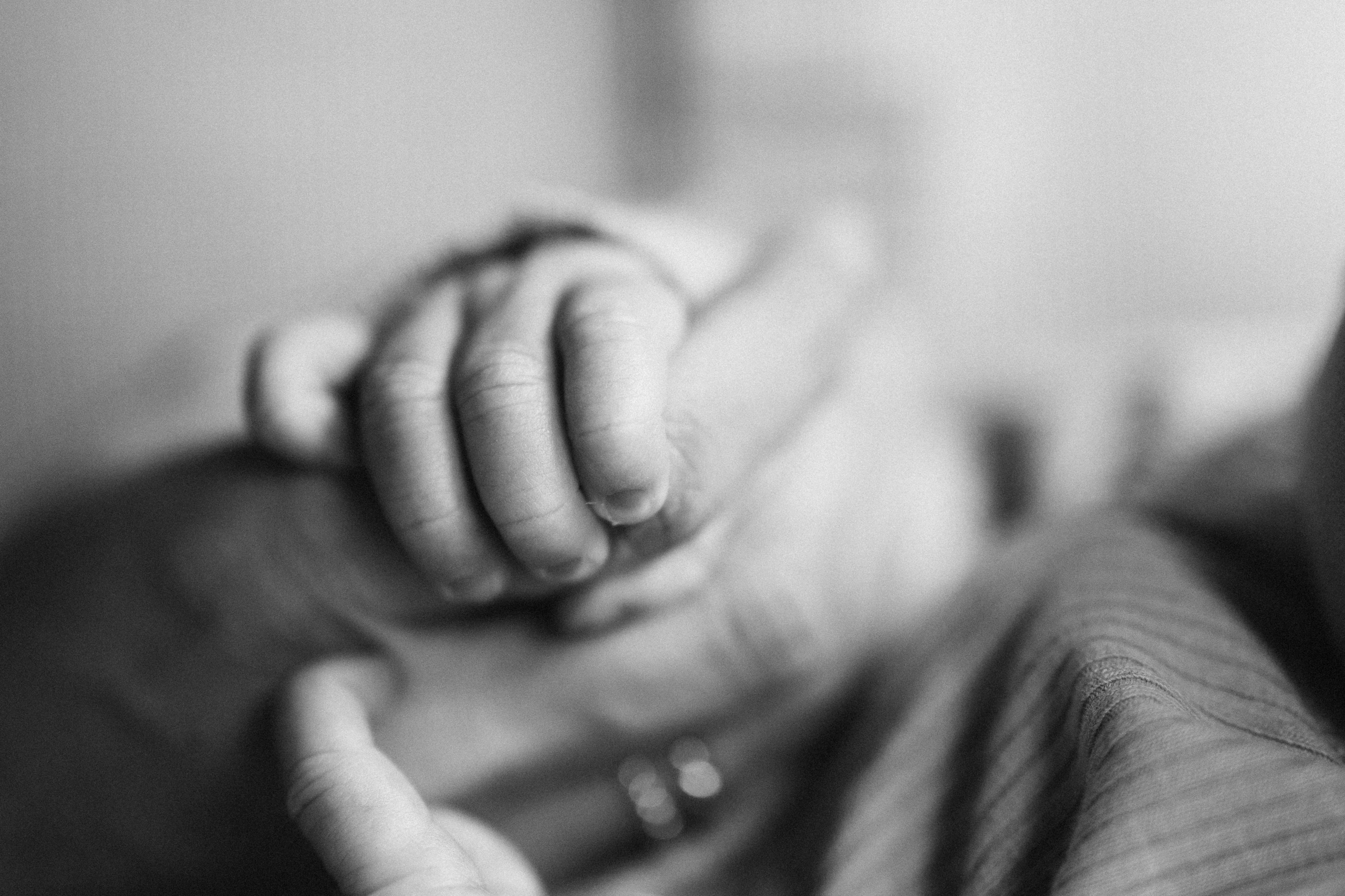 Family photo session. Wedding Photographer Toronto