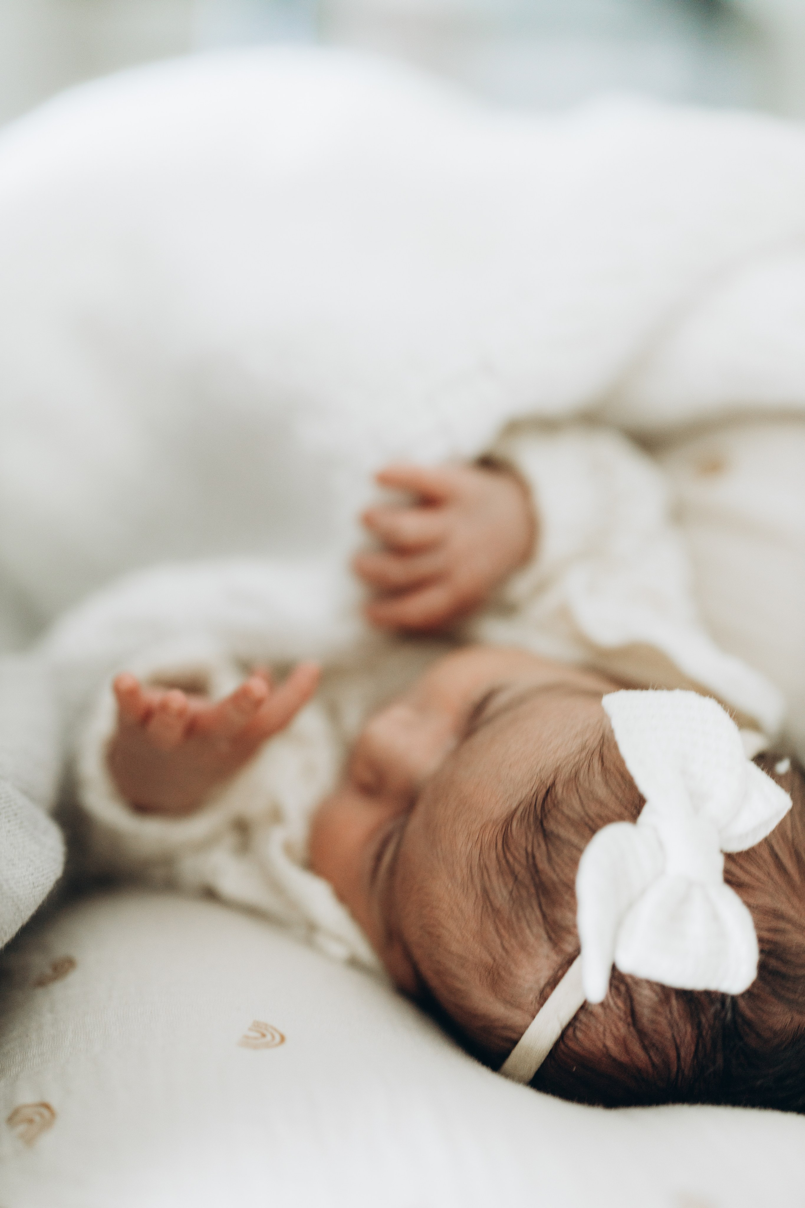 Newborn/family photo session. Wedding Photographer Toronto