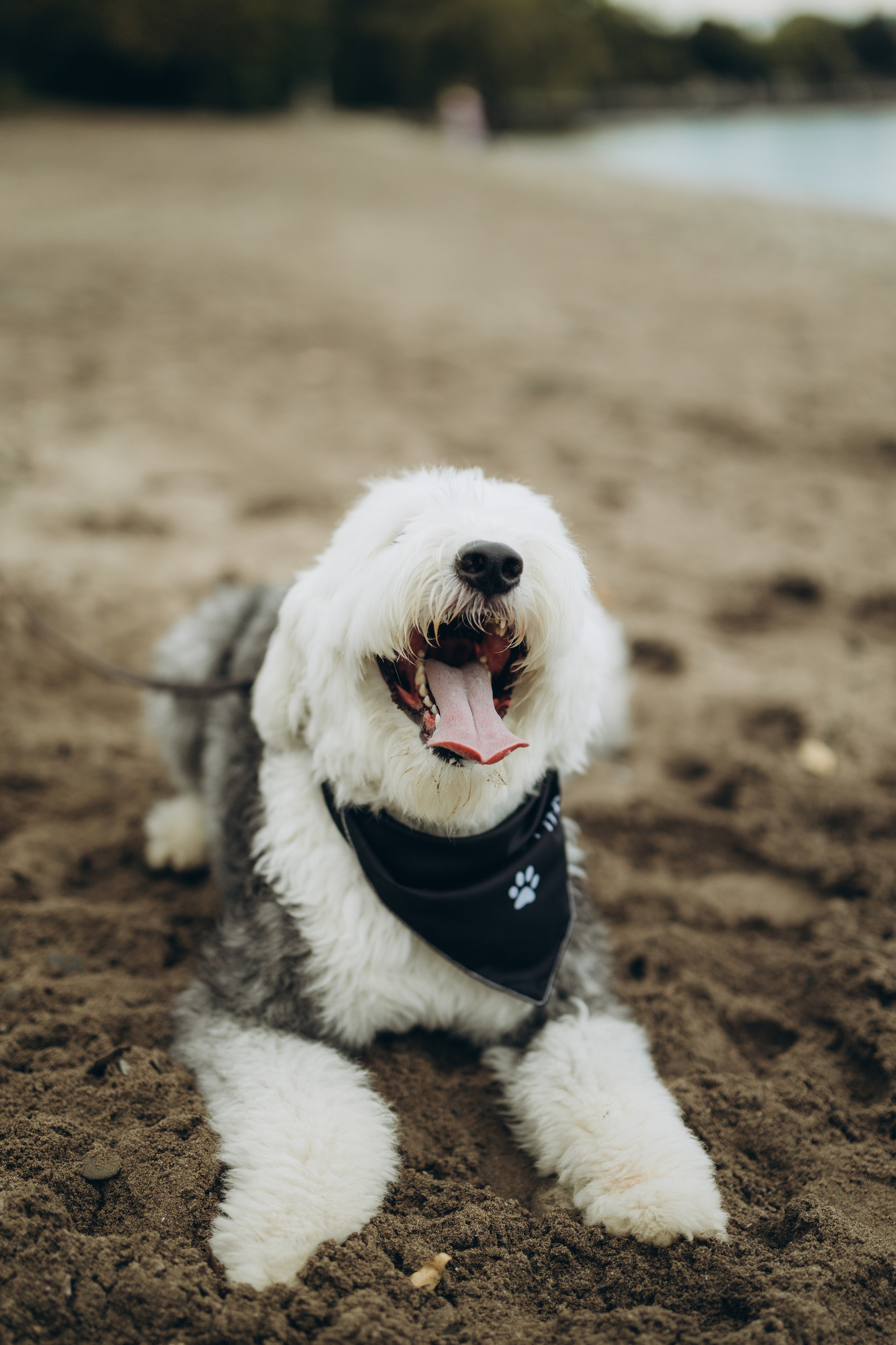 Gender party. Wedding Photographer Toronto