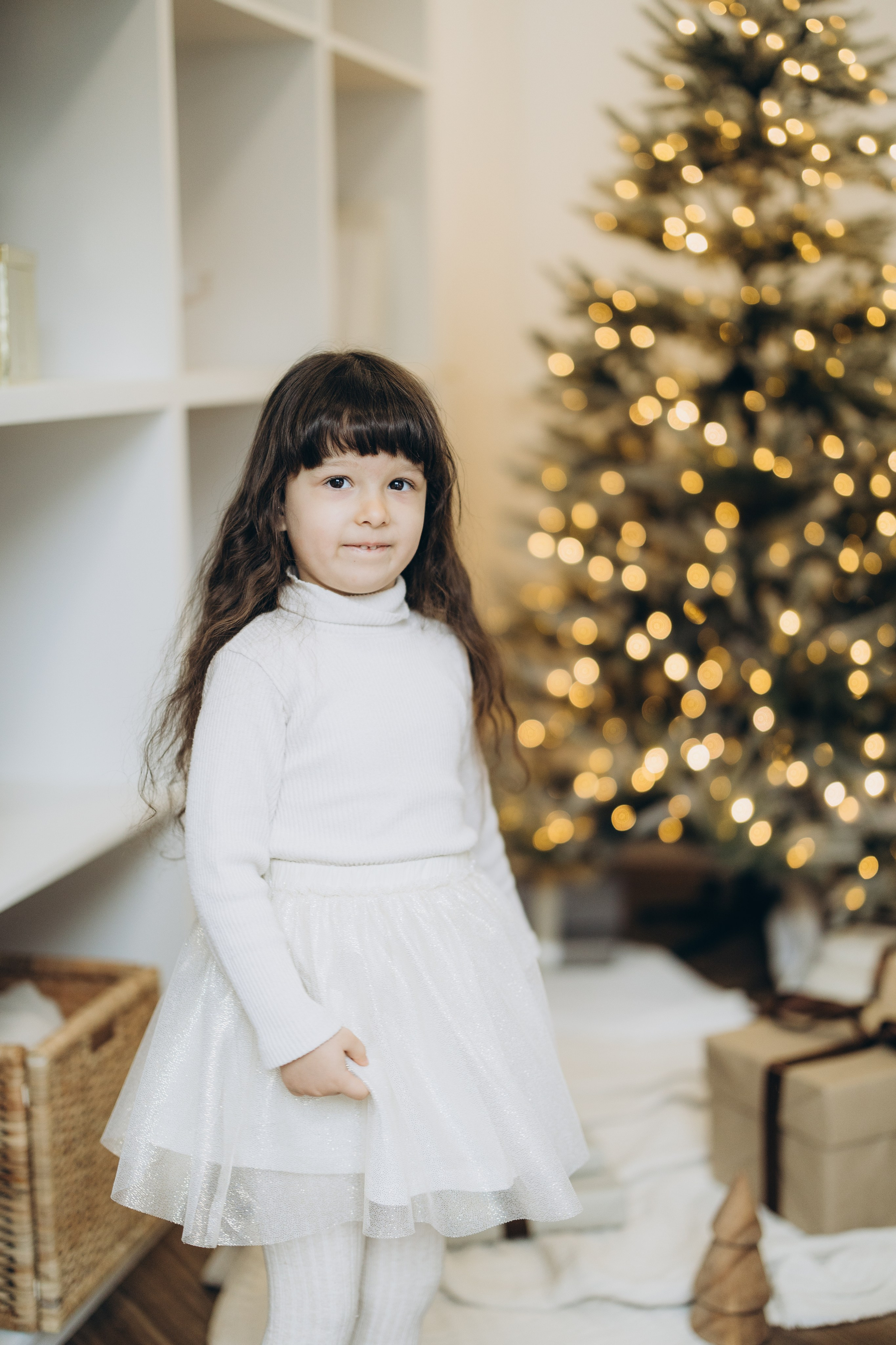 Christmas 2023. Wedding Photographer Toronto