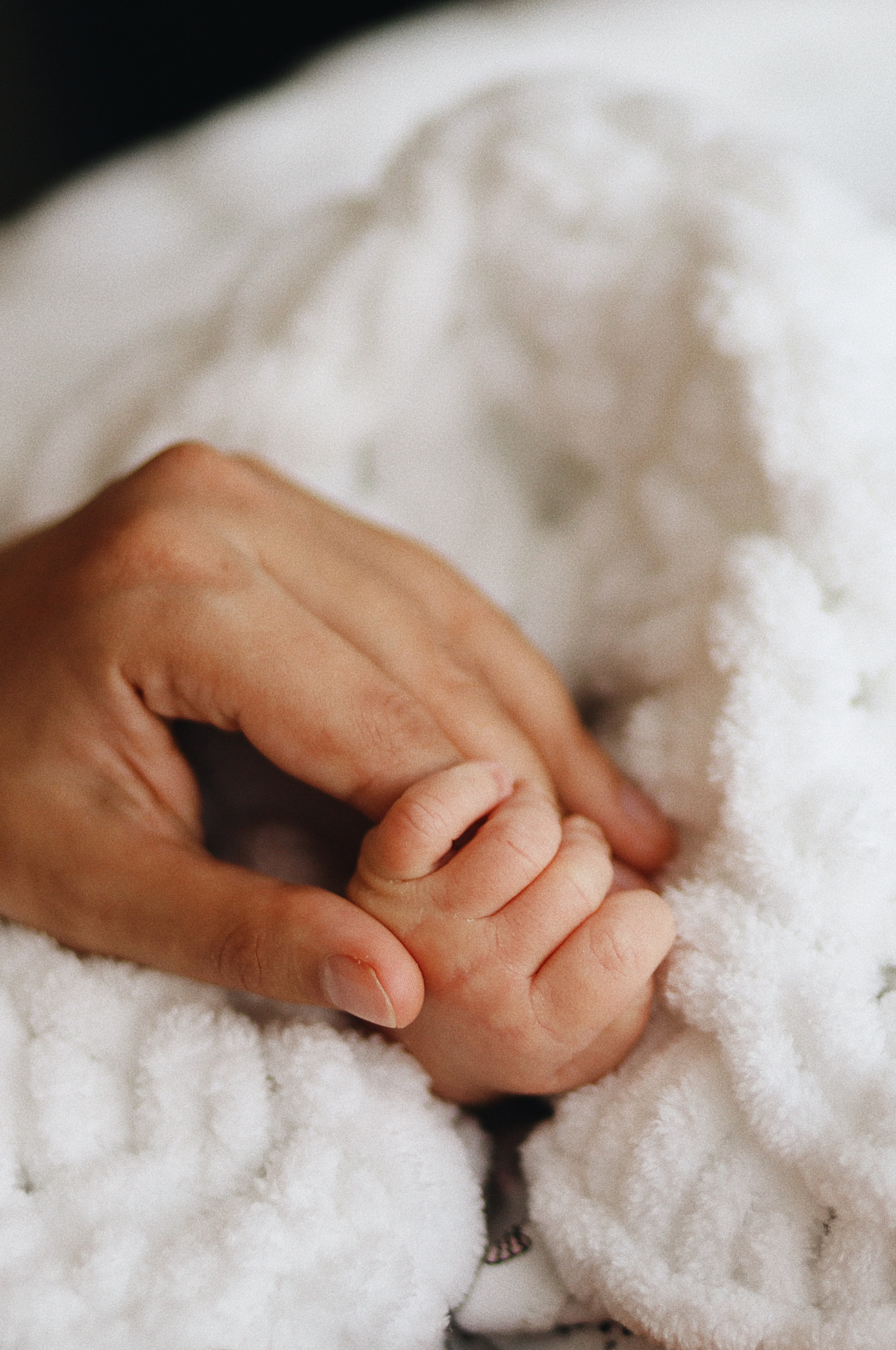 Alex. Wedding Photographer Toronto