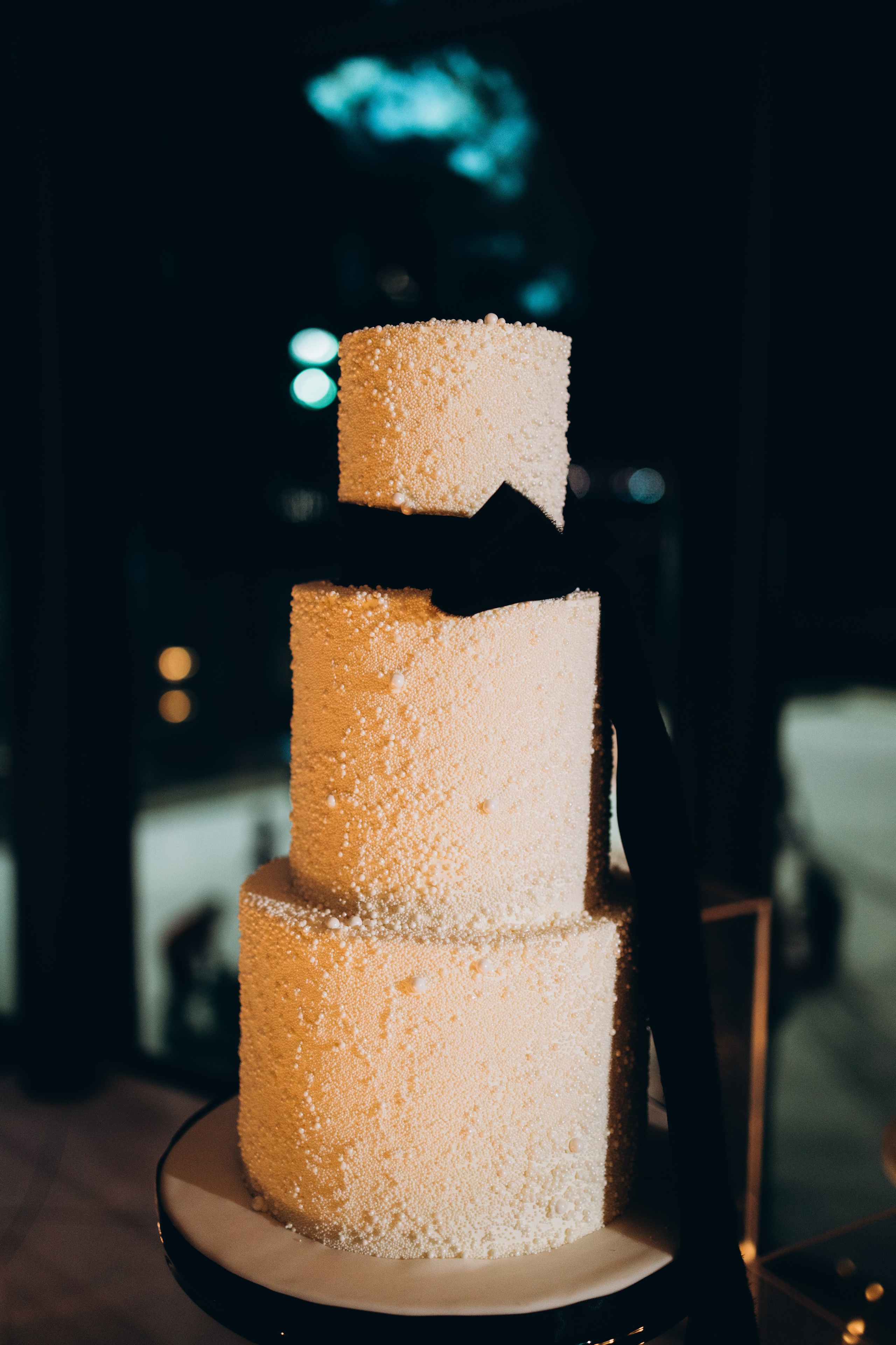 Andy&Michael. Wedding Photographer Toronto