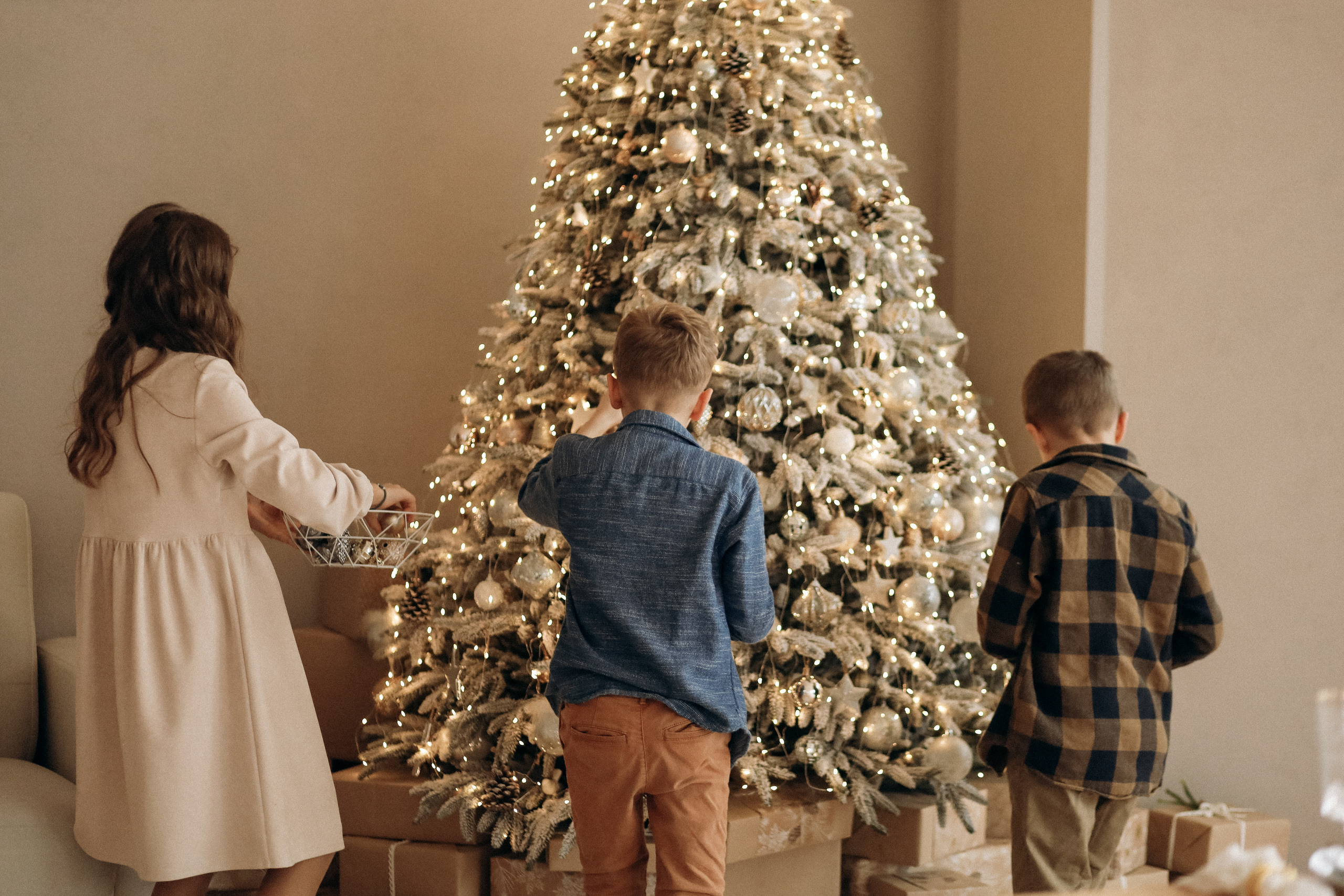 Merry Christmas!. Wedding Photographer Toronto