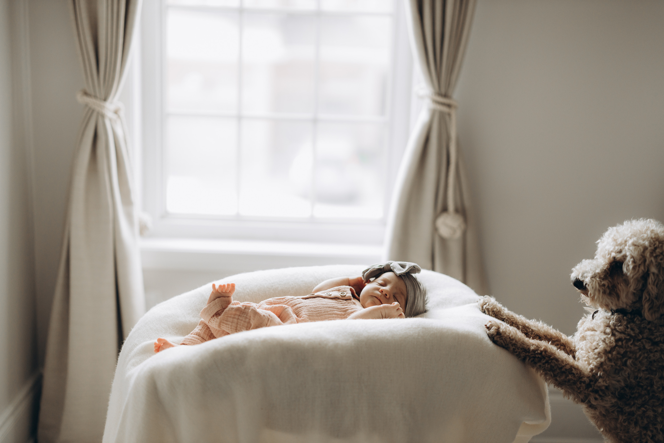 Avery. Wedding Photographer Toronto