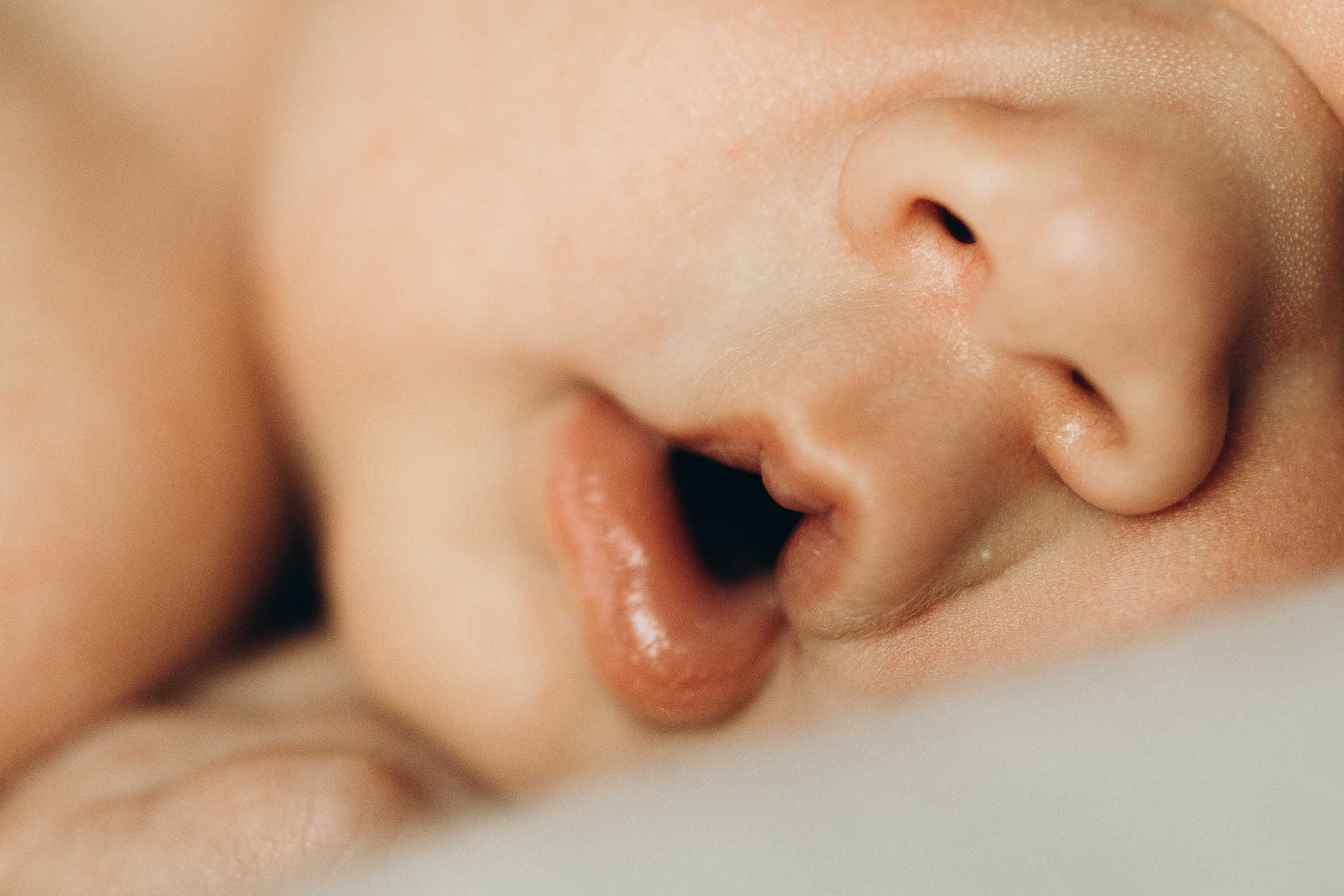 Family of 6 :). Wedding Photographer Toronto