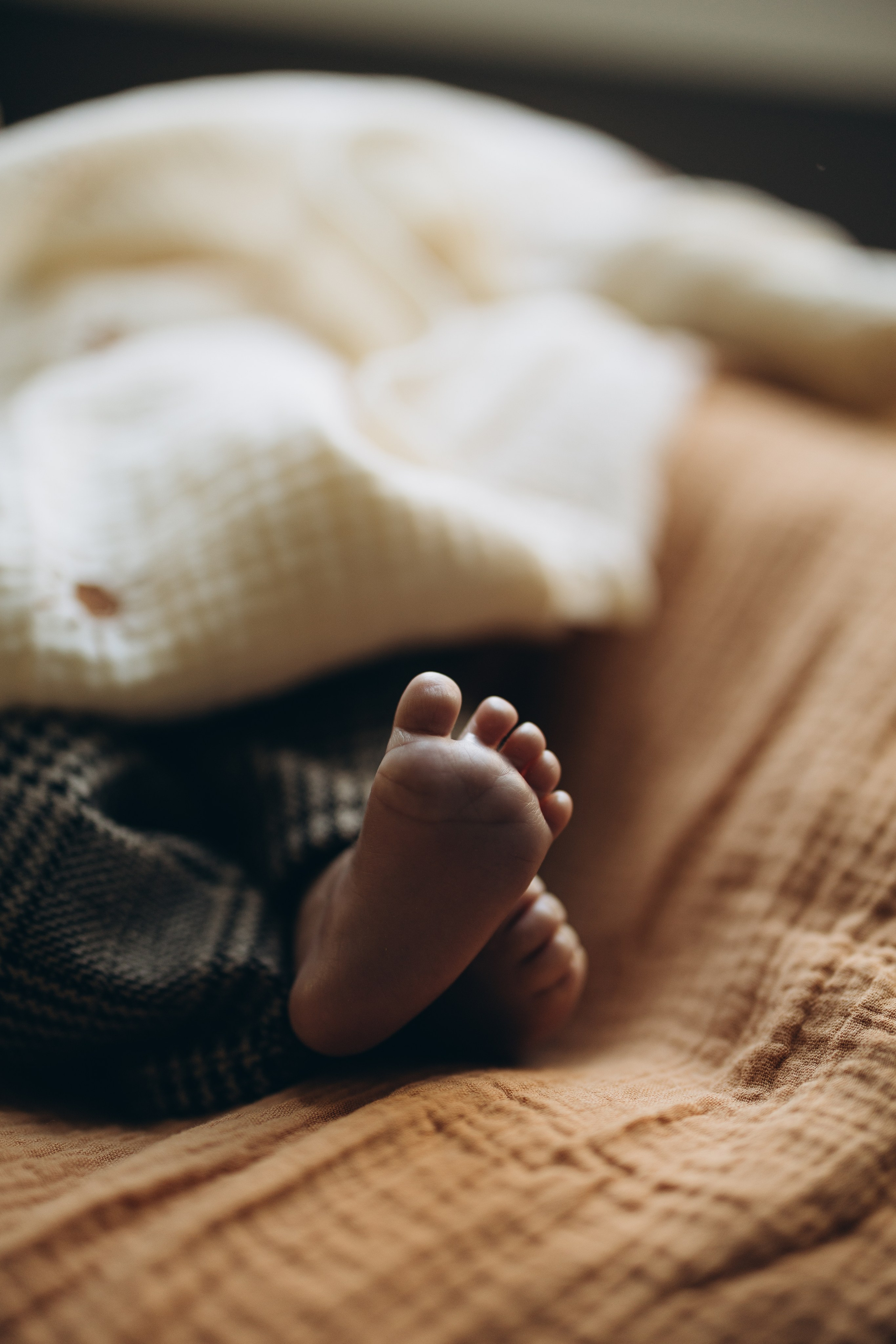 Baby N. Wedding Photographer Toronto