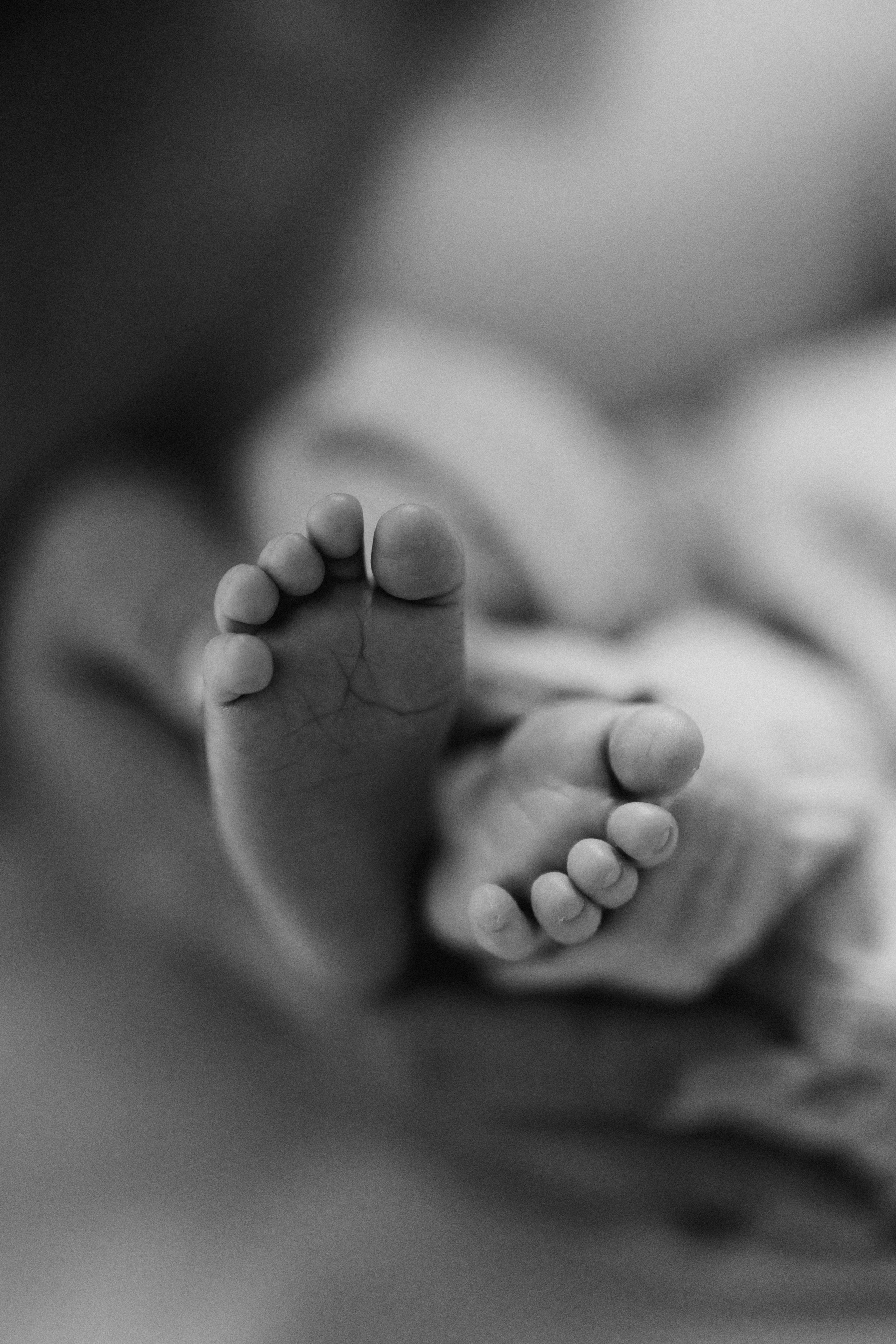 Avery. Wedding Photographer Toronto