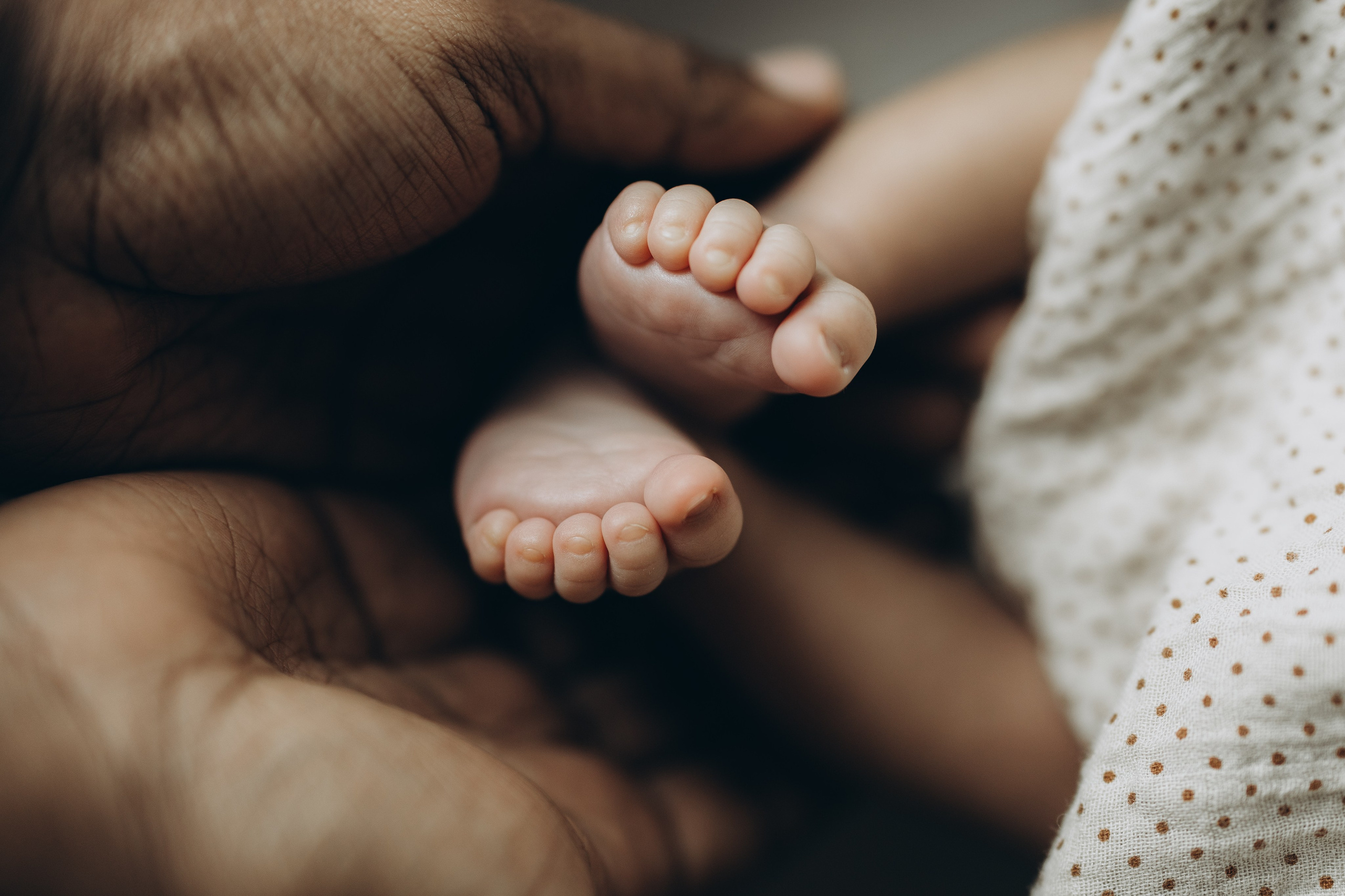 Baby Levi. Wedding Photographer Toronto